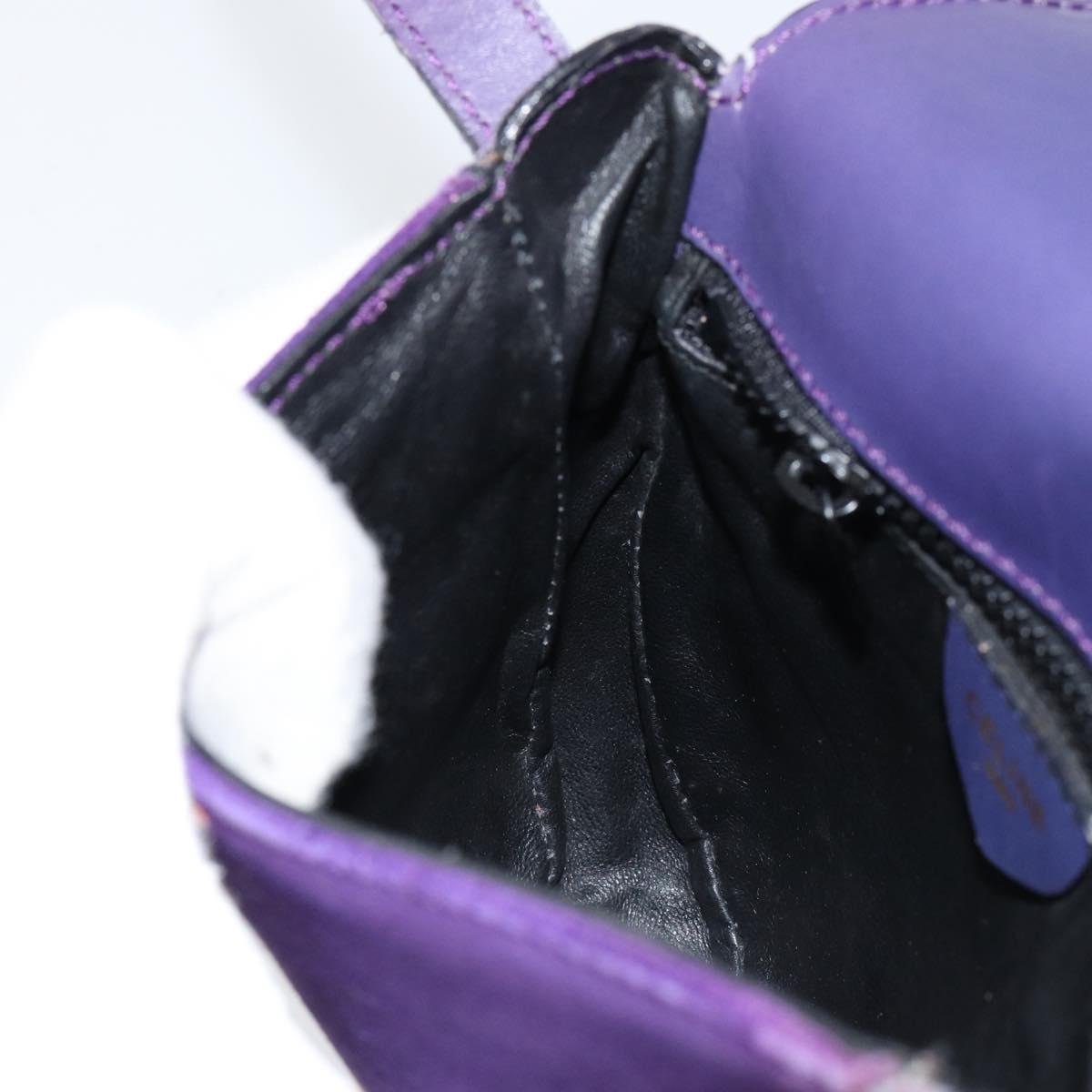 CELINE Shoulder Bag Suede Purple Gold Auth 153820