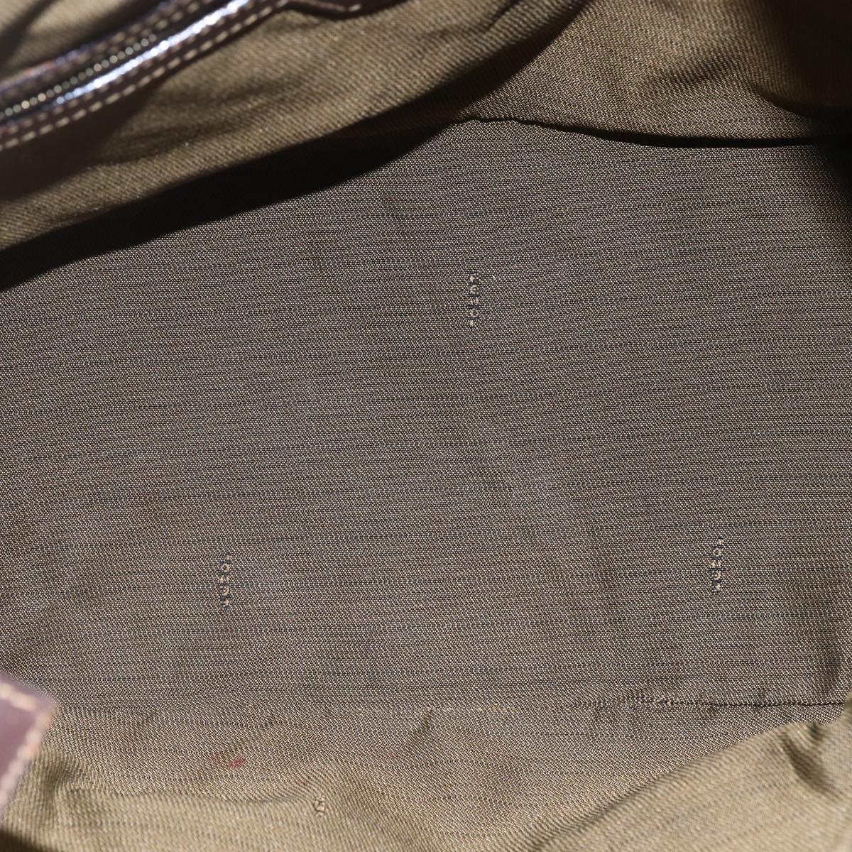 FENDI Zucca Canvas Vanity Hand Bag Black Brown gold Auth 154745