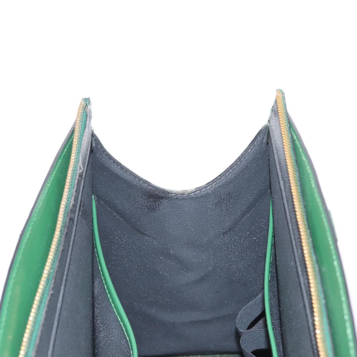 LOUIS VUITTON Epi Riviera Hand Bag Green M48184 LV Auth 154832