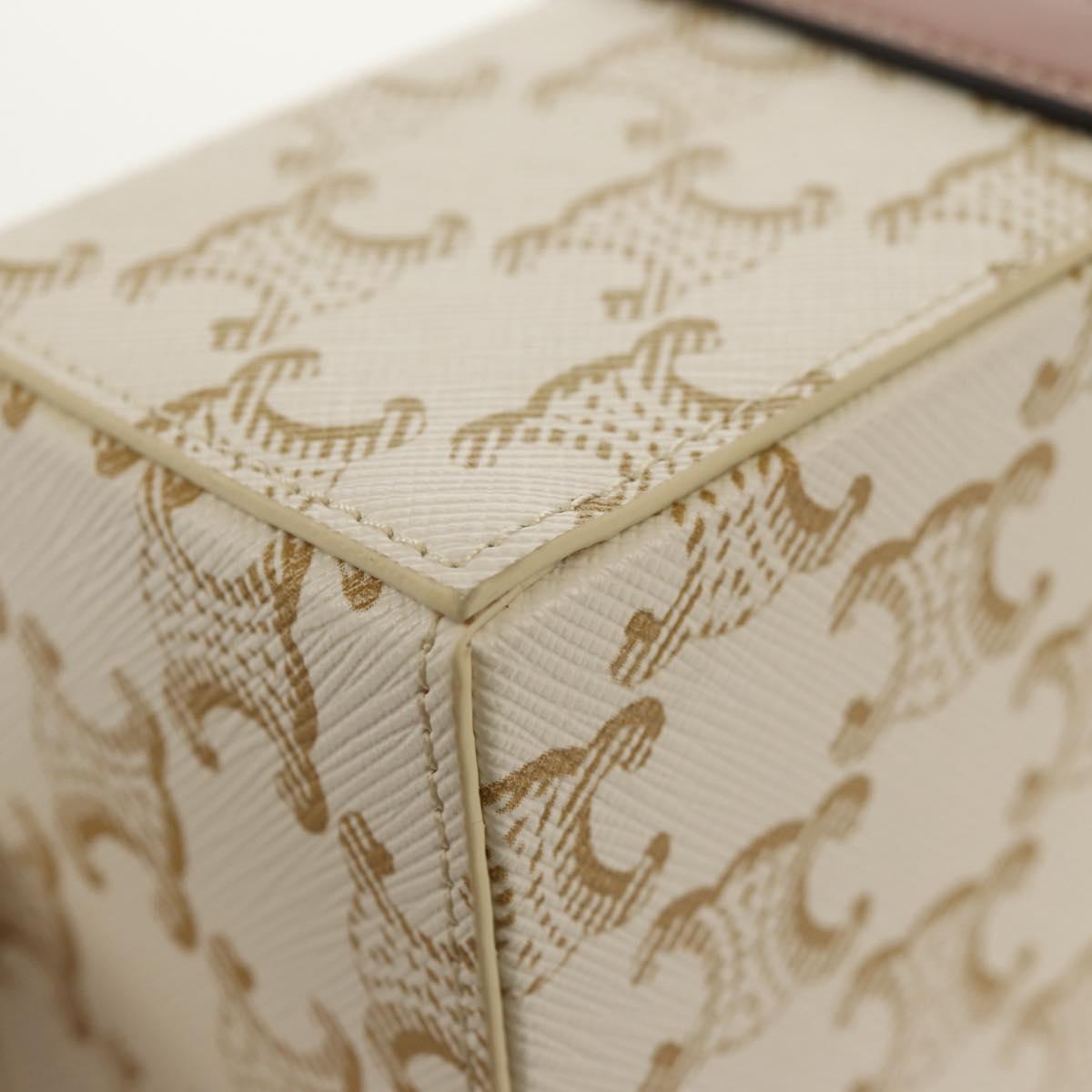 CELINE Triomphe Canvas Large Jewelry Case PVC White 4M0382DIU Auth 154934SM