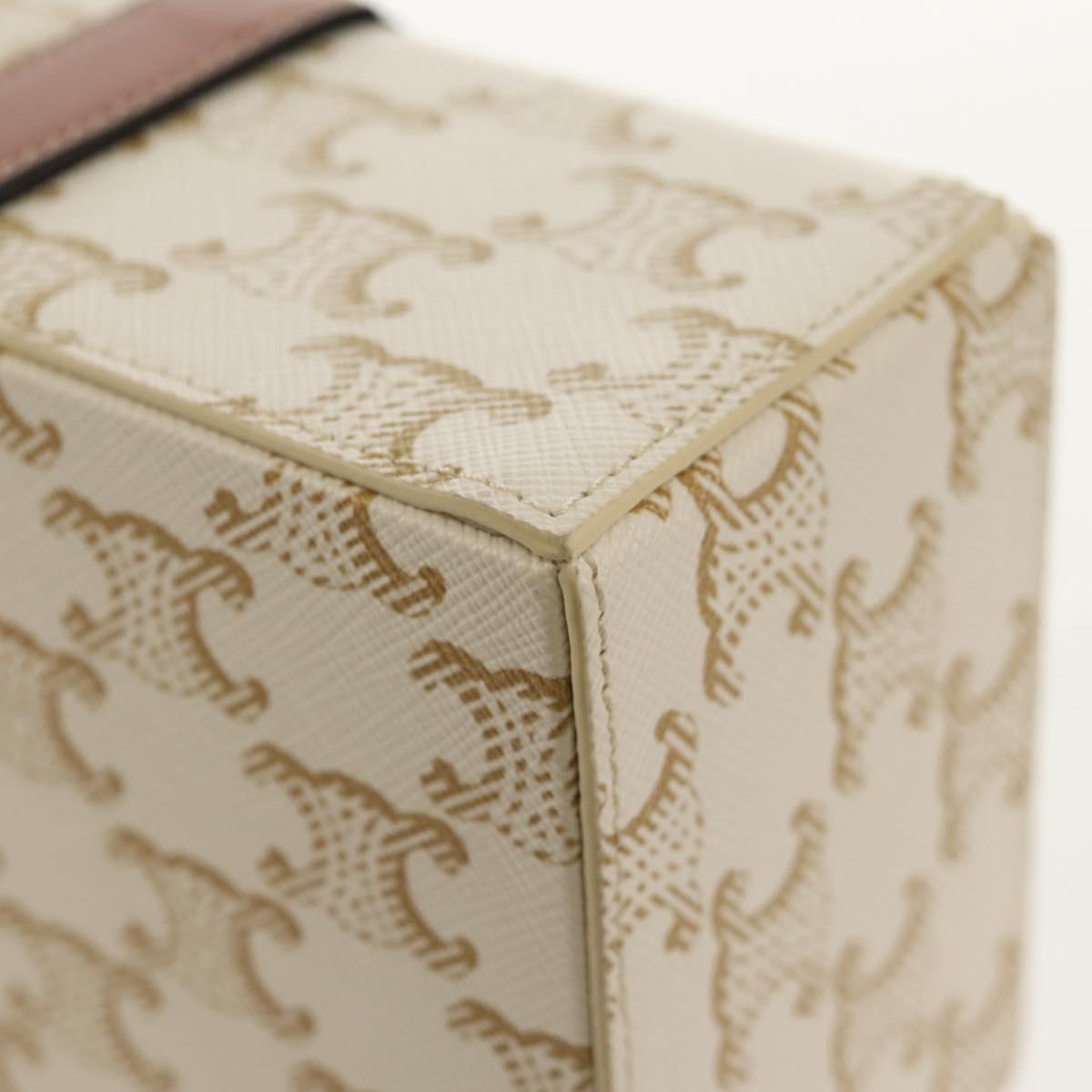 CELINE Triomphe Canvas Large Jewelry Case PVC White 4M0382DIU Auth 154934SM