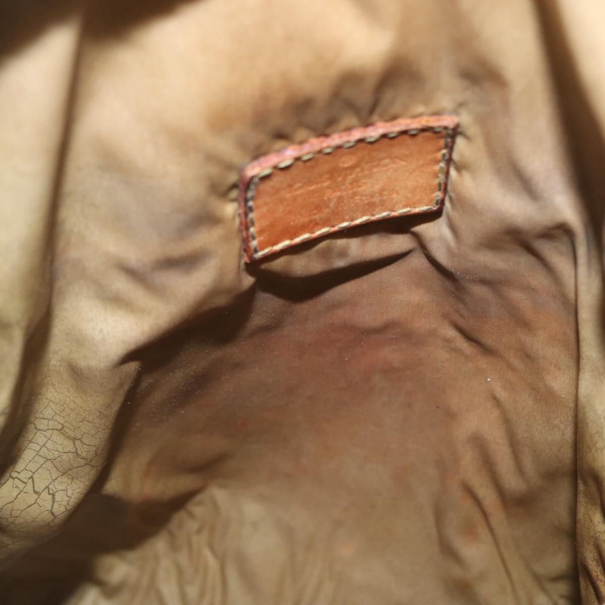 LOUIS VUITTON Damier Geant Sitadan PM Shoulder Bag Tail M93043 LV Auth 155006