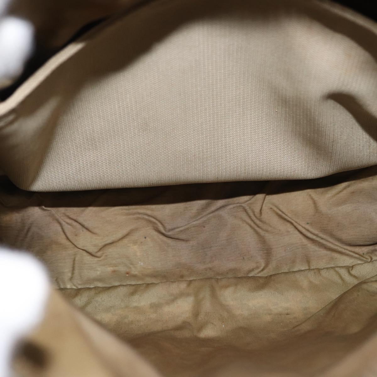 LOUIS VUITTON Damier Geant Sitadan PM Shoulder Bag Tail M93043 LV Auth 155006