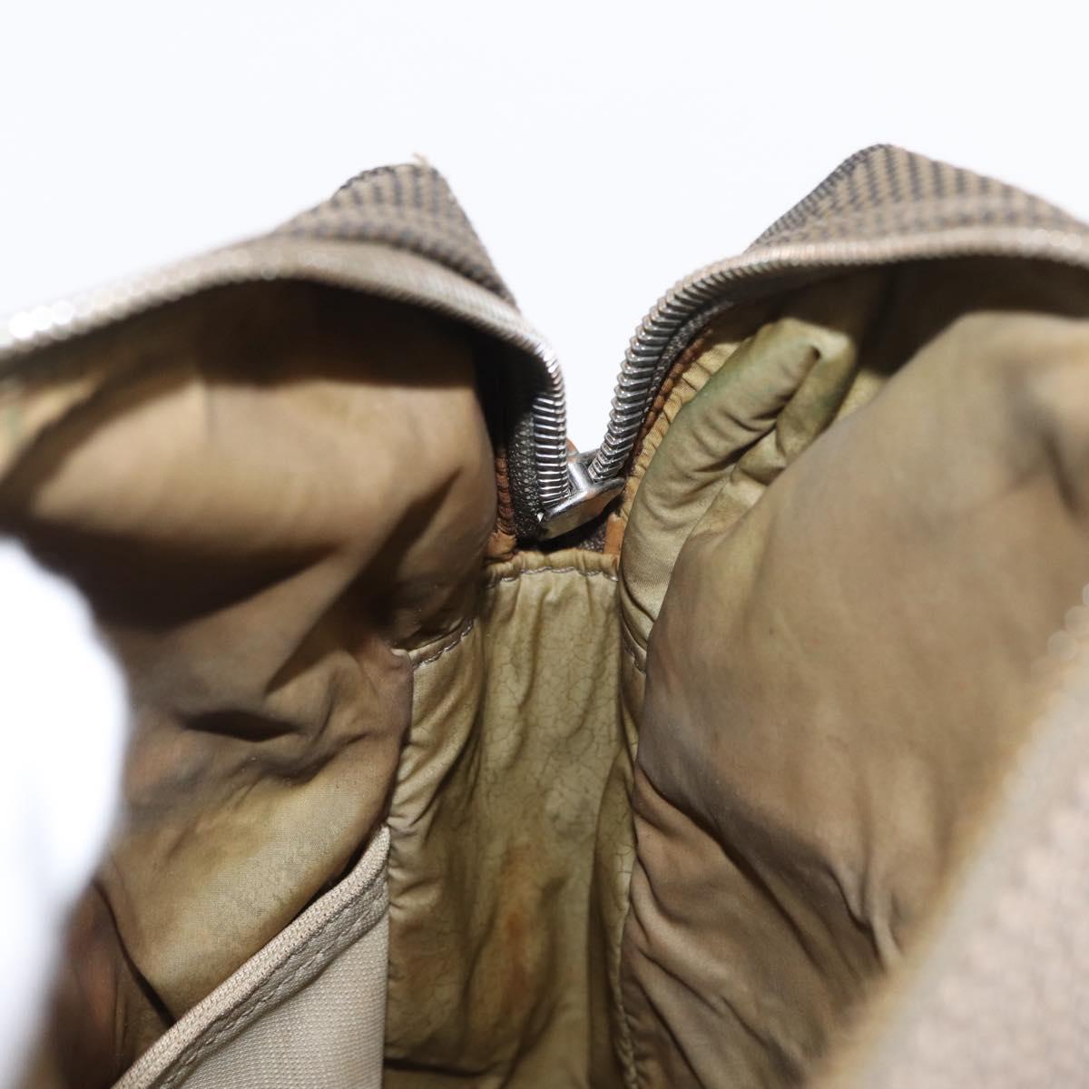 LOUIS VUITTON Damier Geant Sitadan PM Shoulder Bag Tail M93043 LV Auth 155006