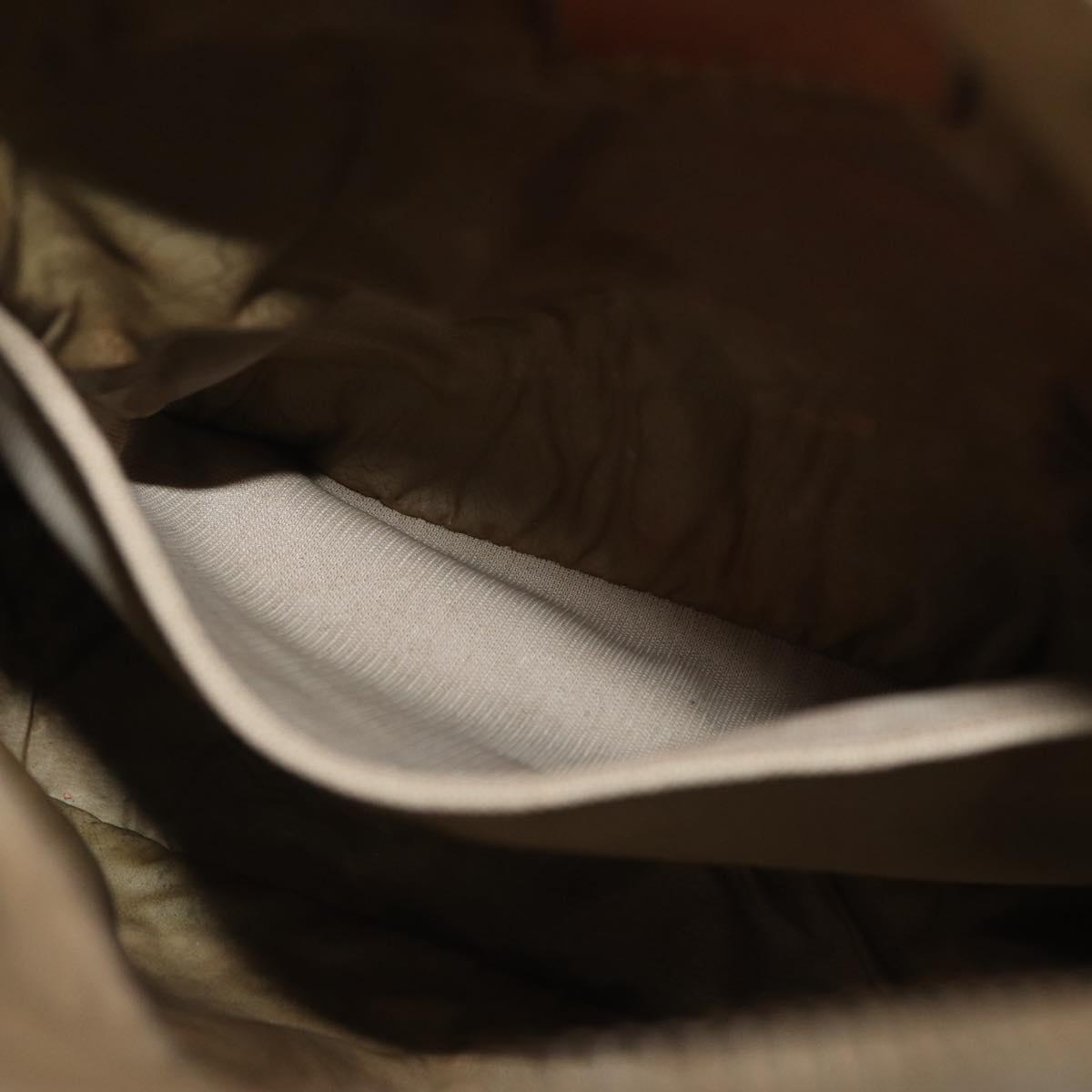 LOUIS VUITTON Damier Geant Sitadan PM Shoulder Bag Tail M93043 LV Auth 155006