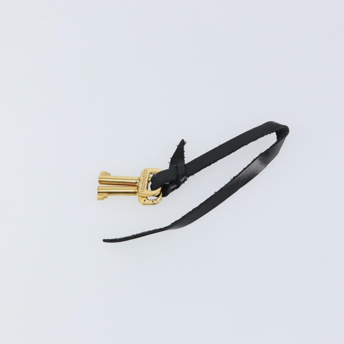 LOUIS VUITTON Epi Serie Dragonne Clutch Bag Black Noir M52612 LV Auth 155183