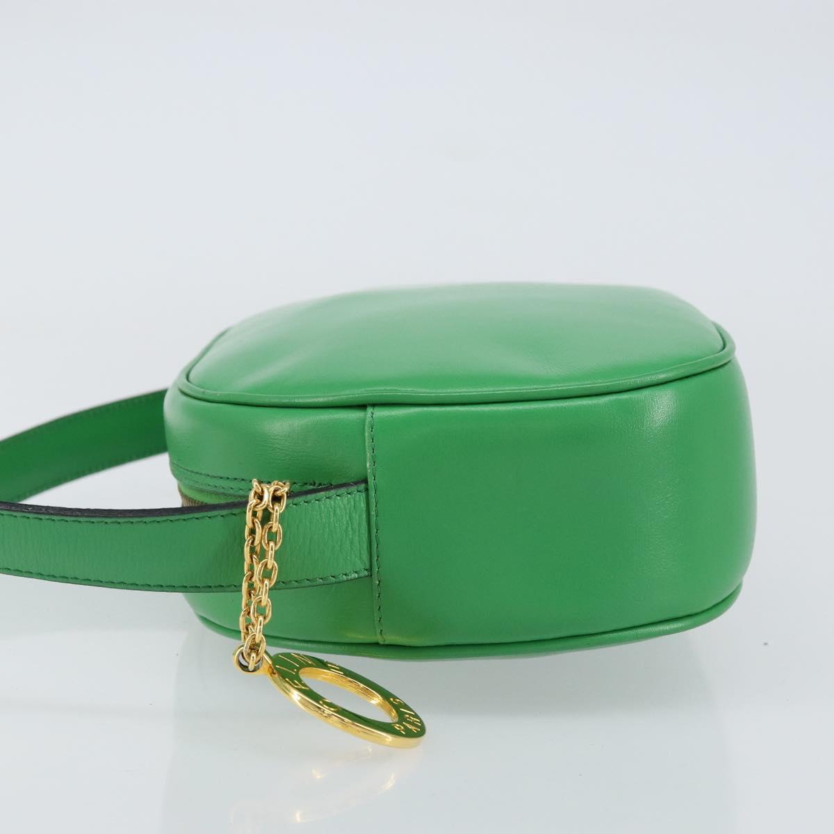 CELINE Shoulder Bag Leather Green Gold Auth 155324