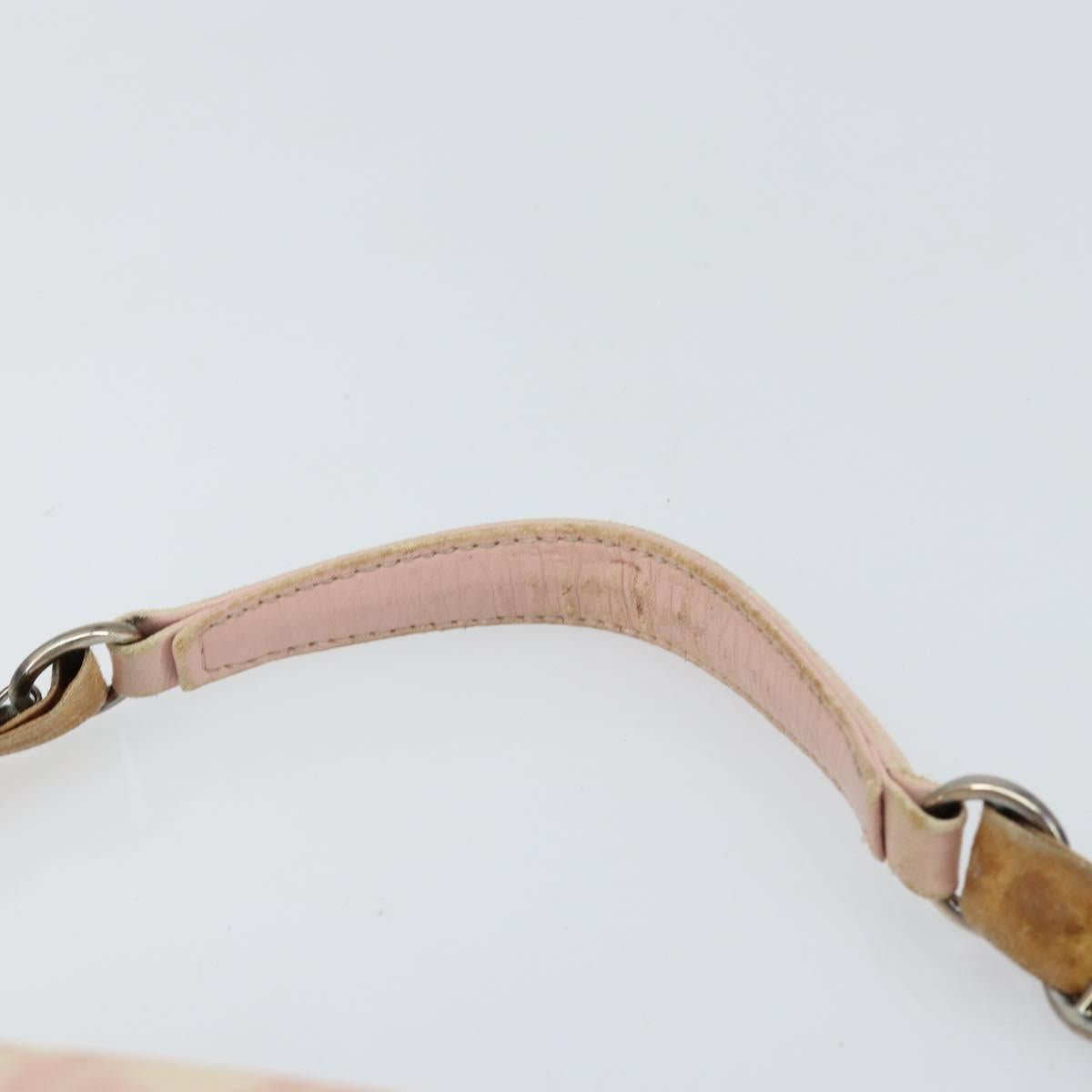 Christian Dior Trotter Canvas Romantic Chain Bag PVC Pink Silver Auth 156006