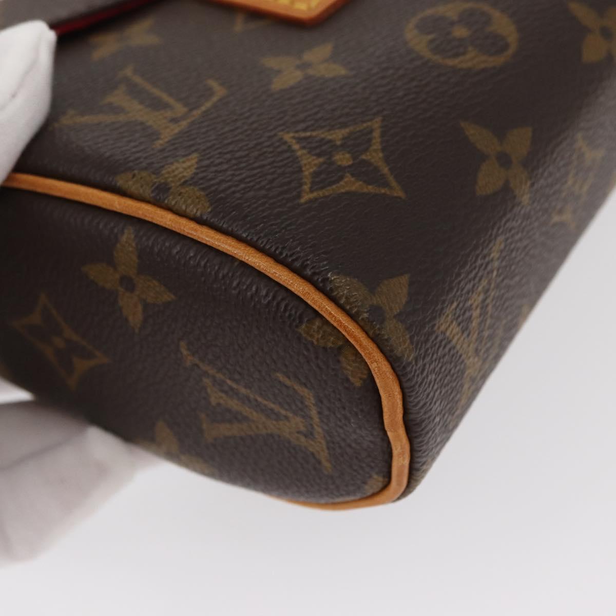 LOUIS VUITTON Monogram Sonatine Hand Bag M51902 LV Auth 156206V