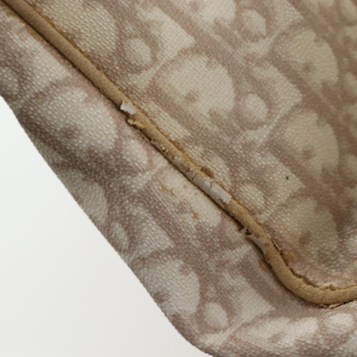 Christian Dior Trotter Canvas Romantic Hand Bag PVC Beige Silver Auth 156376