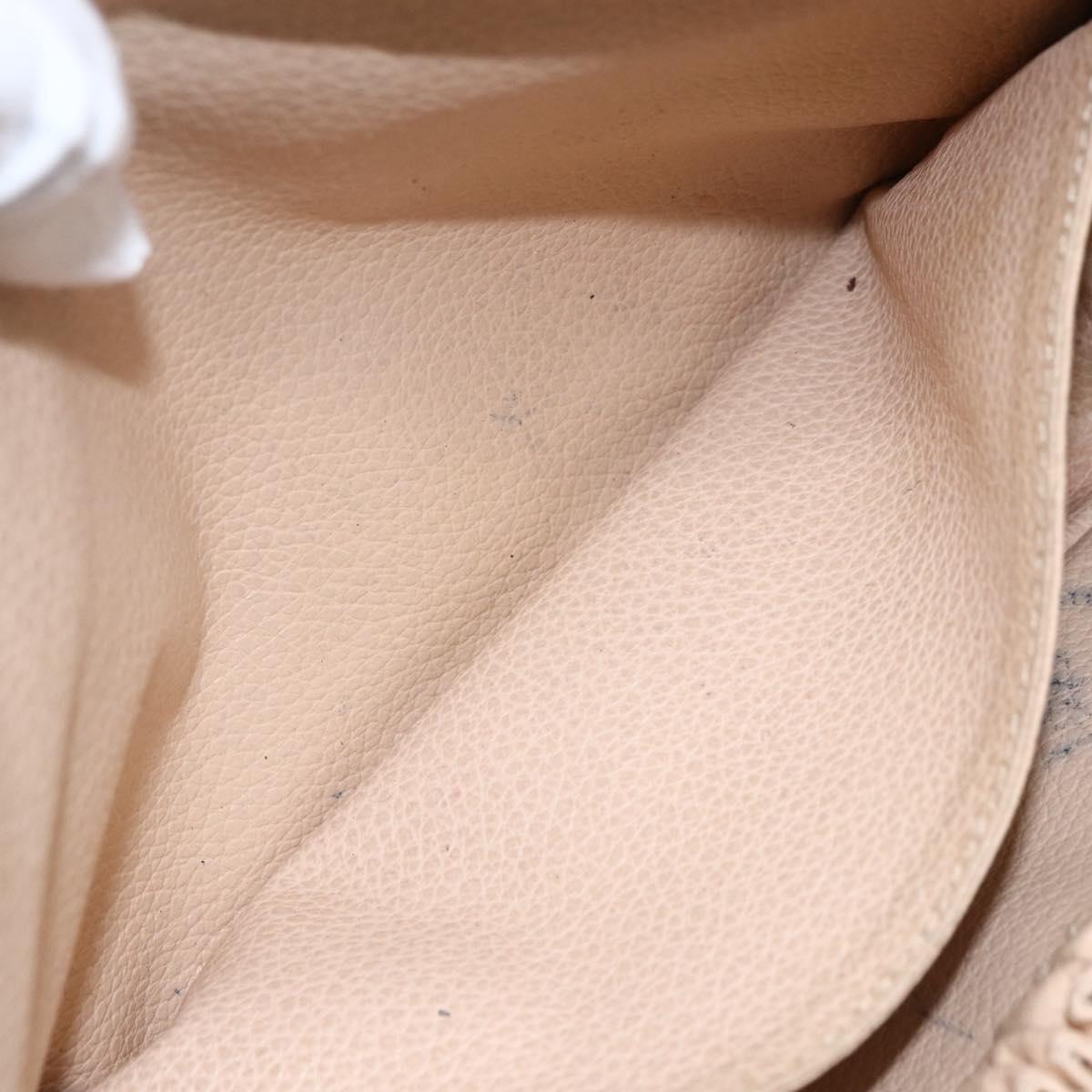 LOUIS VUITTON Monogram Trousse Toilette 23 Clutch Bag M47524 LV Auth 156899