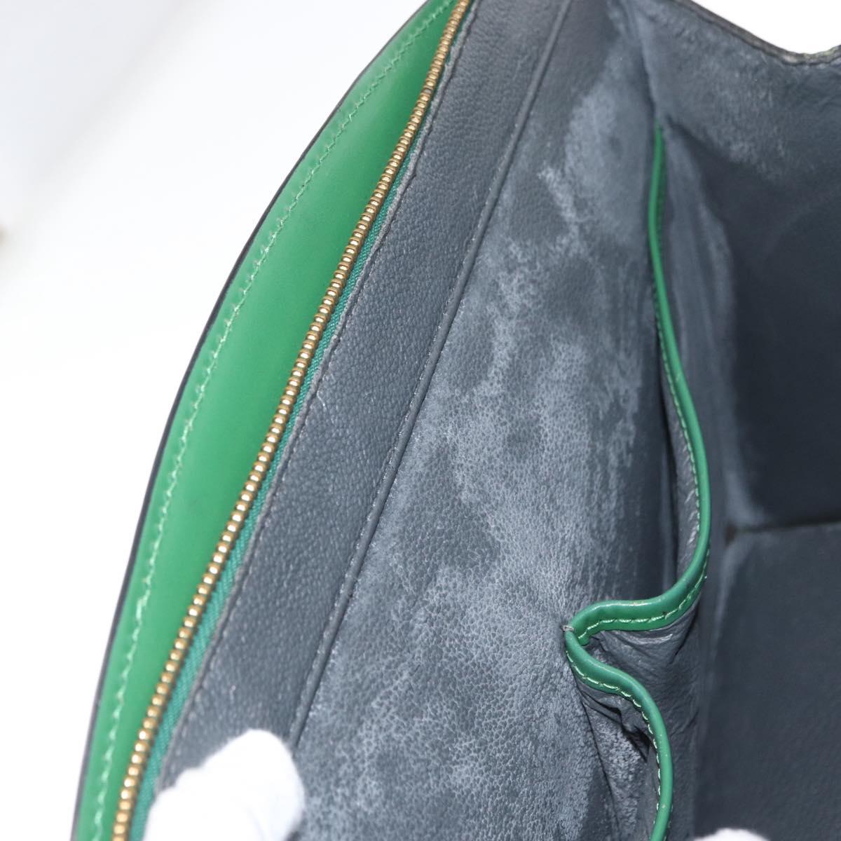 LOUIS VUITTON Epi Riviera Hand Bag Green M48184 LV Auth 157017