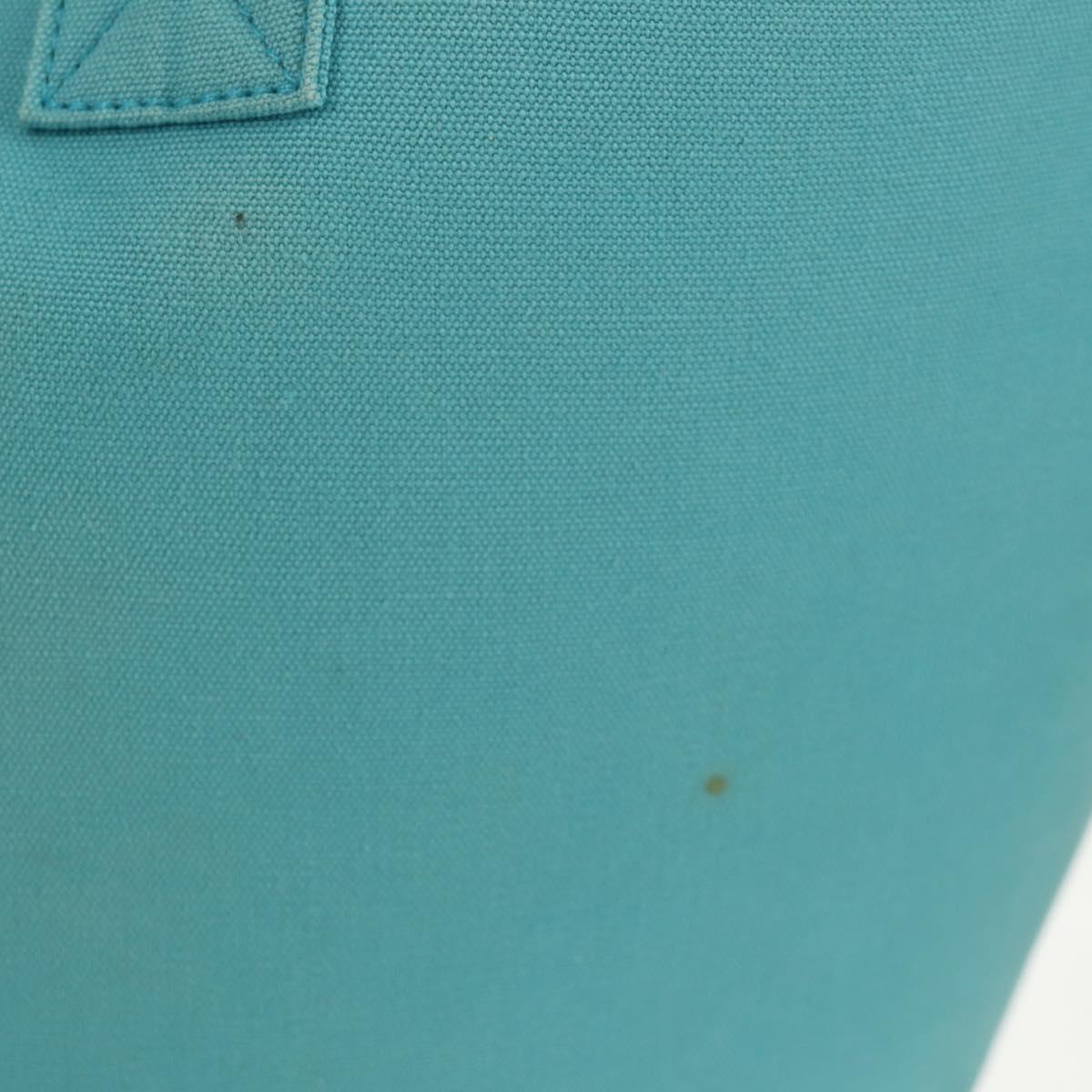 HERMES Panier Plage PM Hand Bag Canvas Light Blue Silver Auth 157382