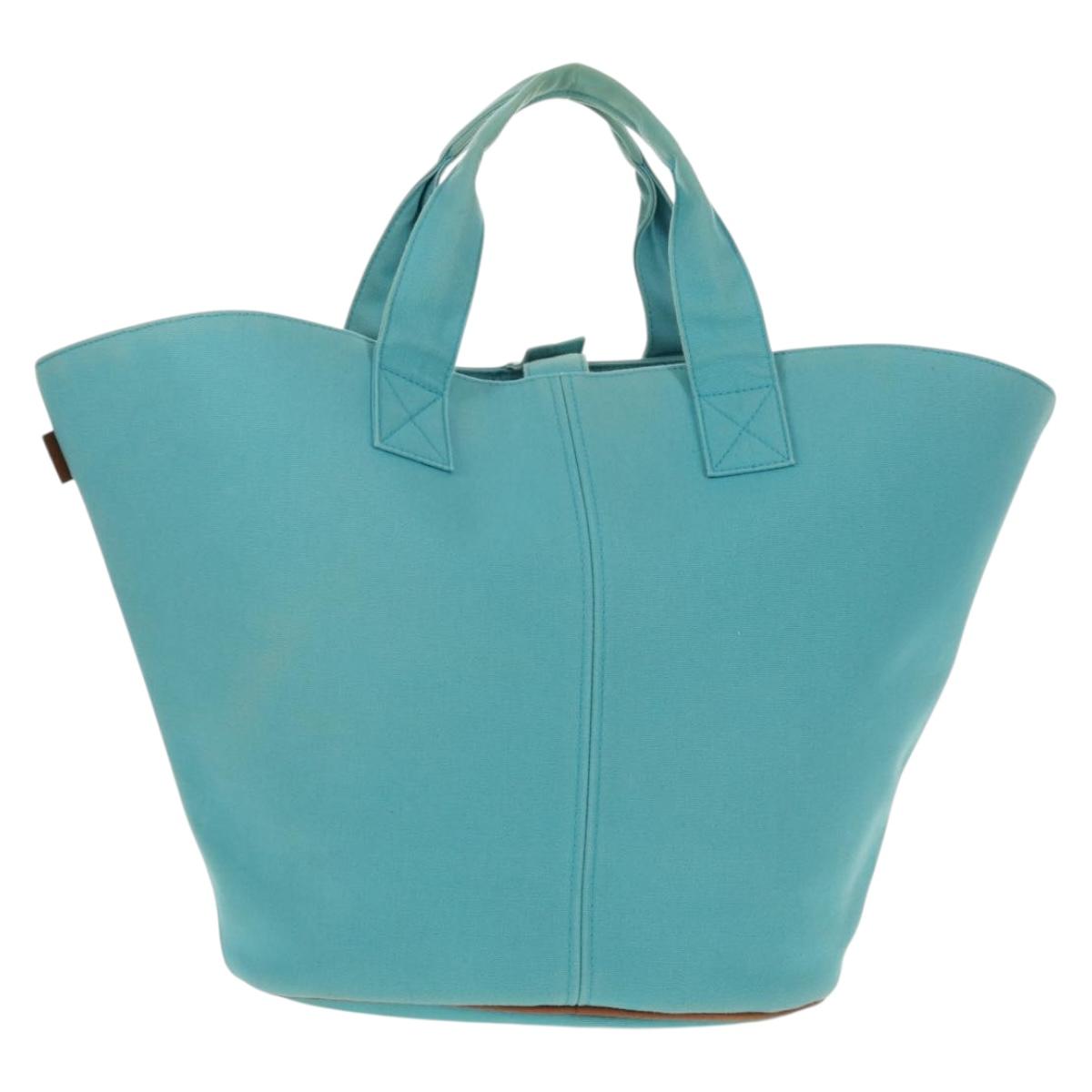 HERMES Panier Plage PM Hand Bag Canvas Light Blue Silver Auth 157382