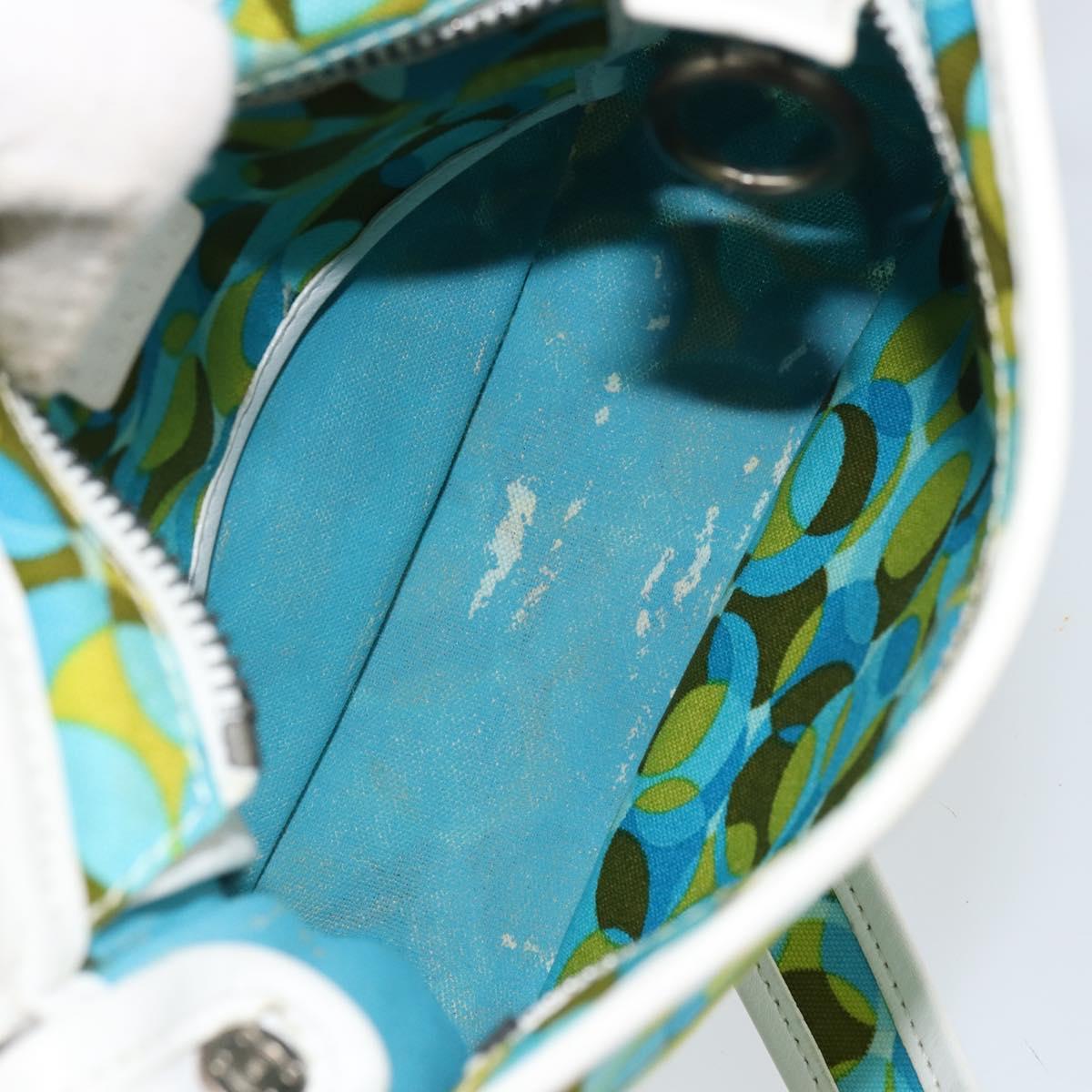 CELINE Circle Shoulder Bag Canvas Leather Blue Light green Auth 157872