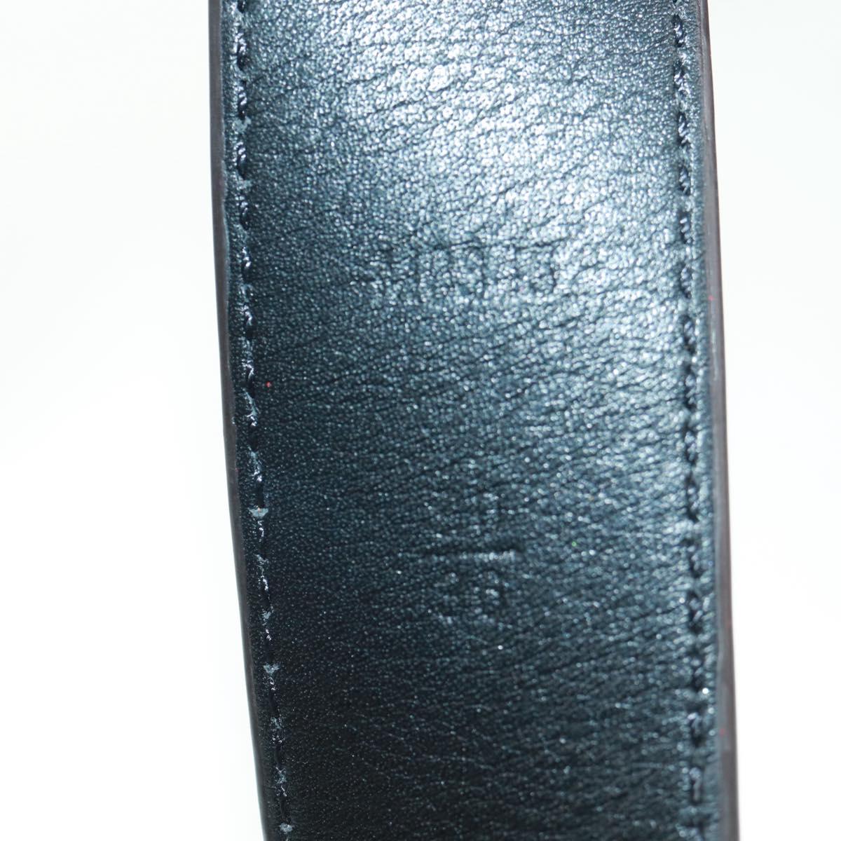 LOUIS VUITTON Monogram Reverse Ceinture Daily Multi-Pocket Pouch LV 158211SAM