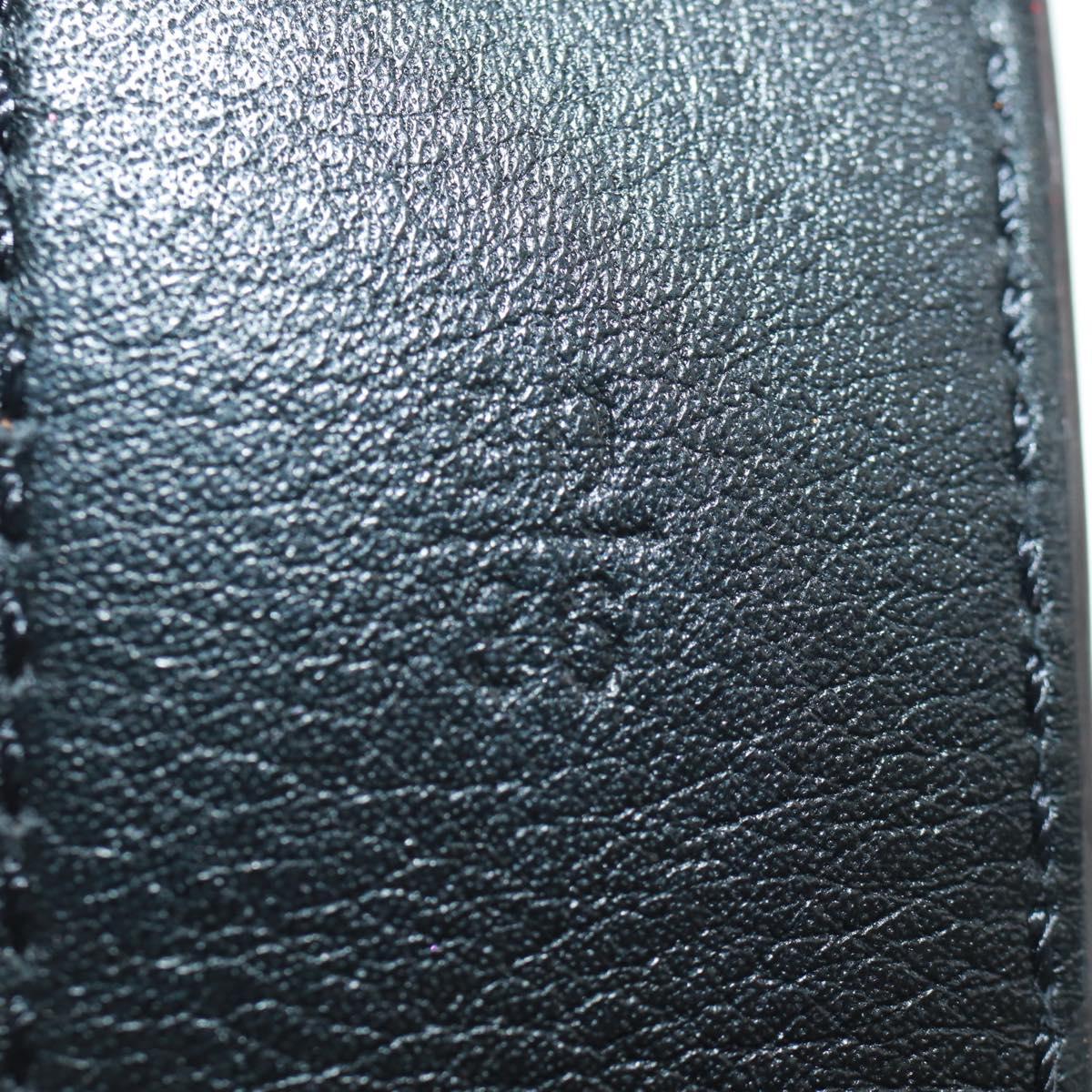 LOUIS VUITTON Monogram Reverse Ceinture Daily Multi-Pocket Pouch LV 158211SAM