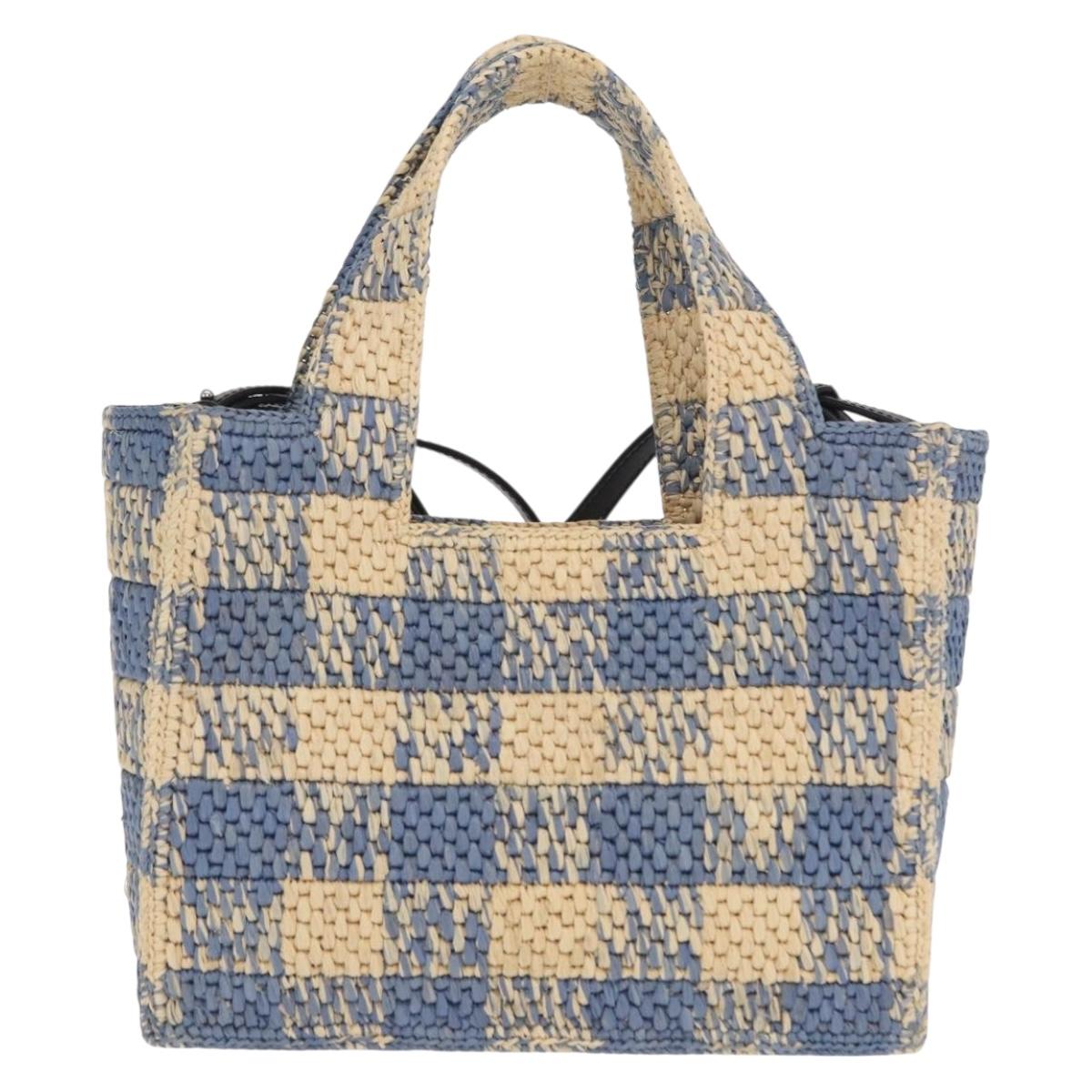 LOEWE Hand Bag Raffia 2way Light Blue Silver Auth 158951SAV