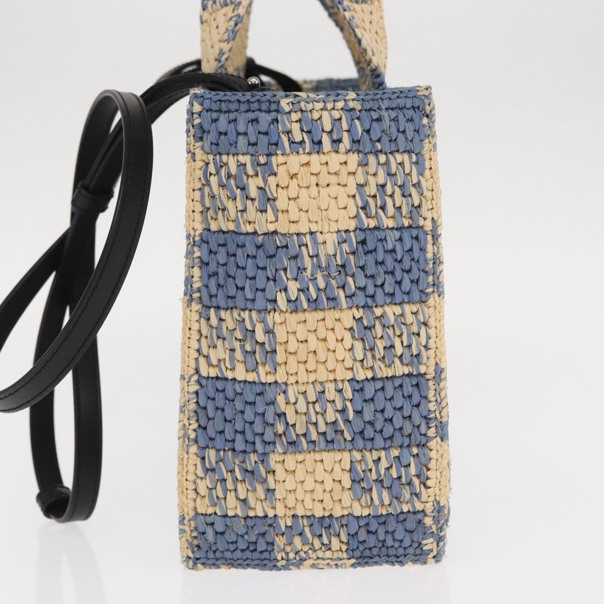 LOEWE Hand Bag Raffia 2way Light Blue Silver Auth 158951SAV