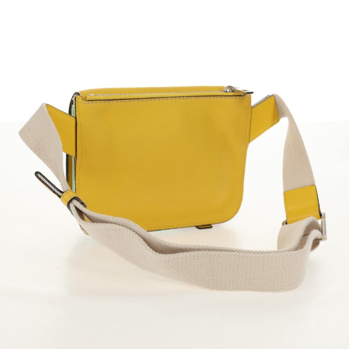 LOEWE Waist bag Leather Yellow Silver Auth 159022V