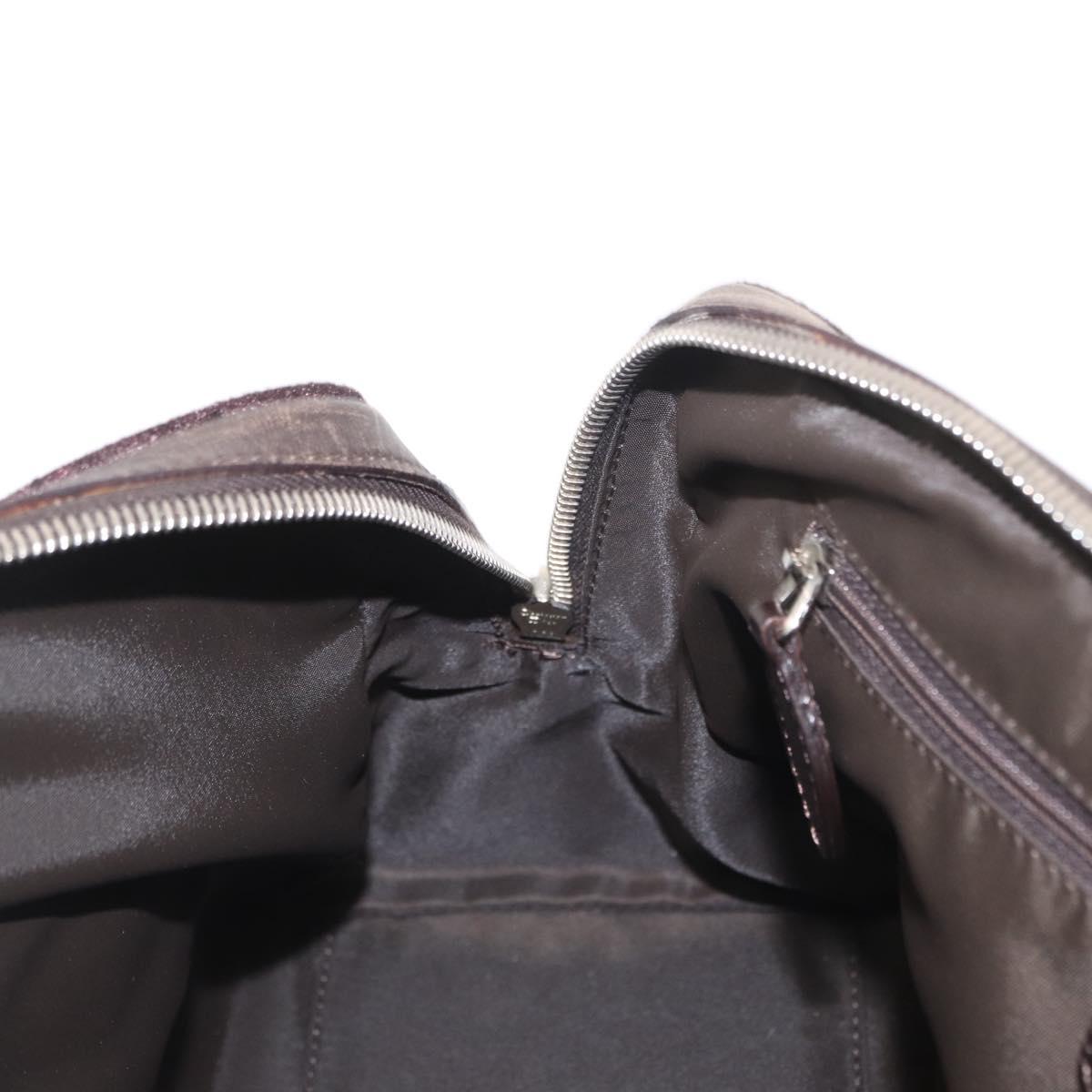 Christian Dior Romantic Trotter Canvas Hand Bag PVC Brown Silver Auth 160136V