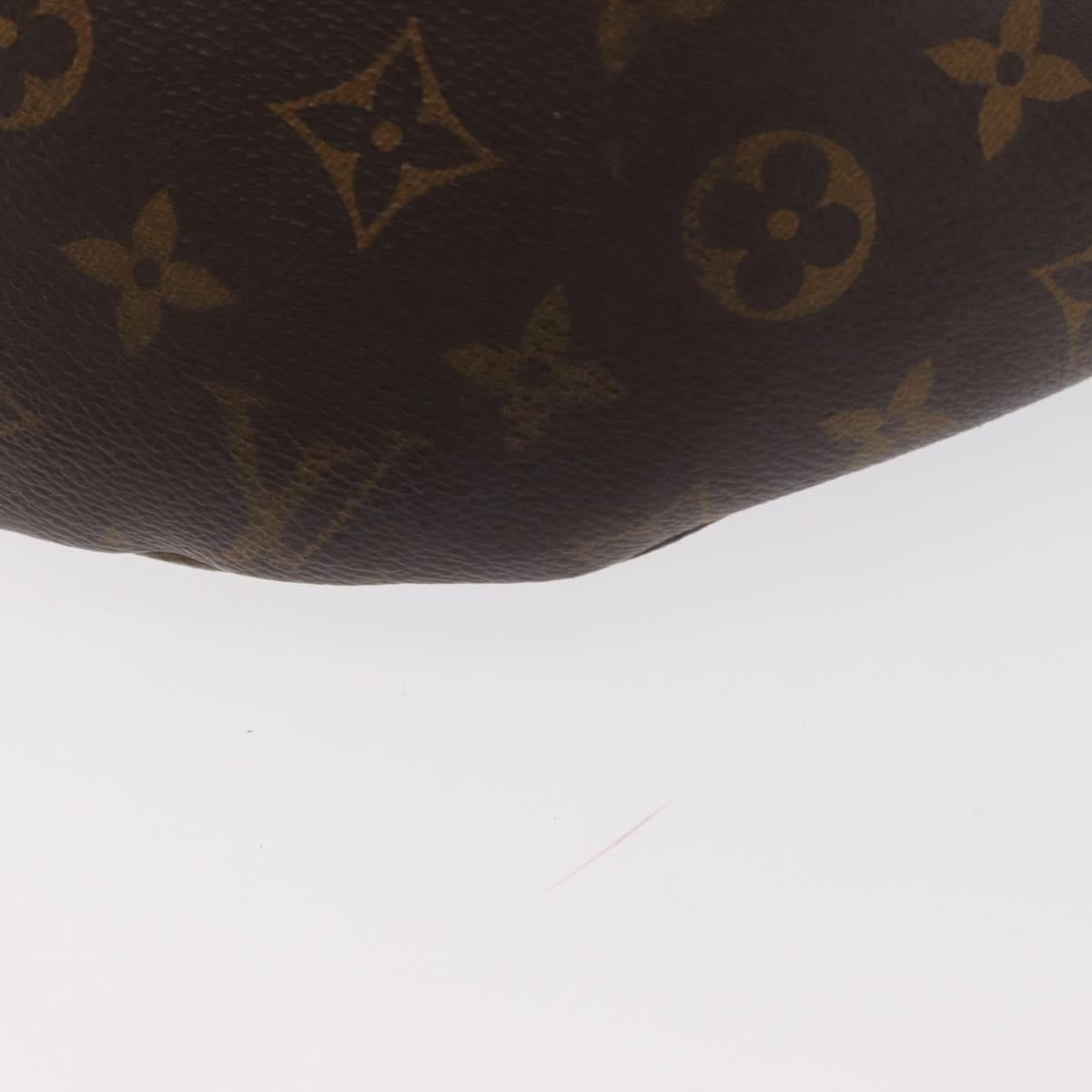 LOUIS VUITTON Monogram Bum Bag Shoulder Bag M43644 LV Auth 160629