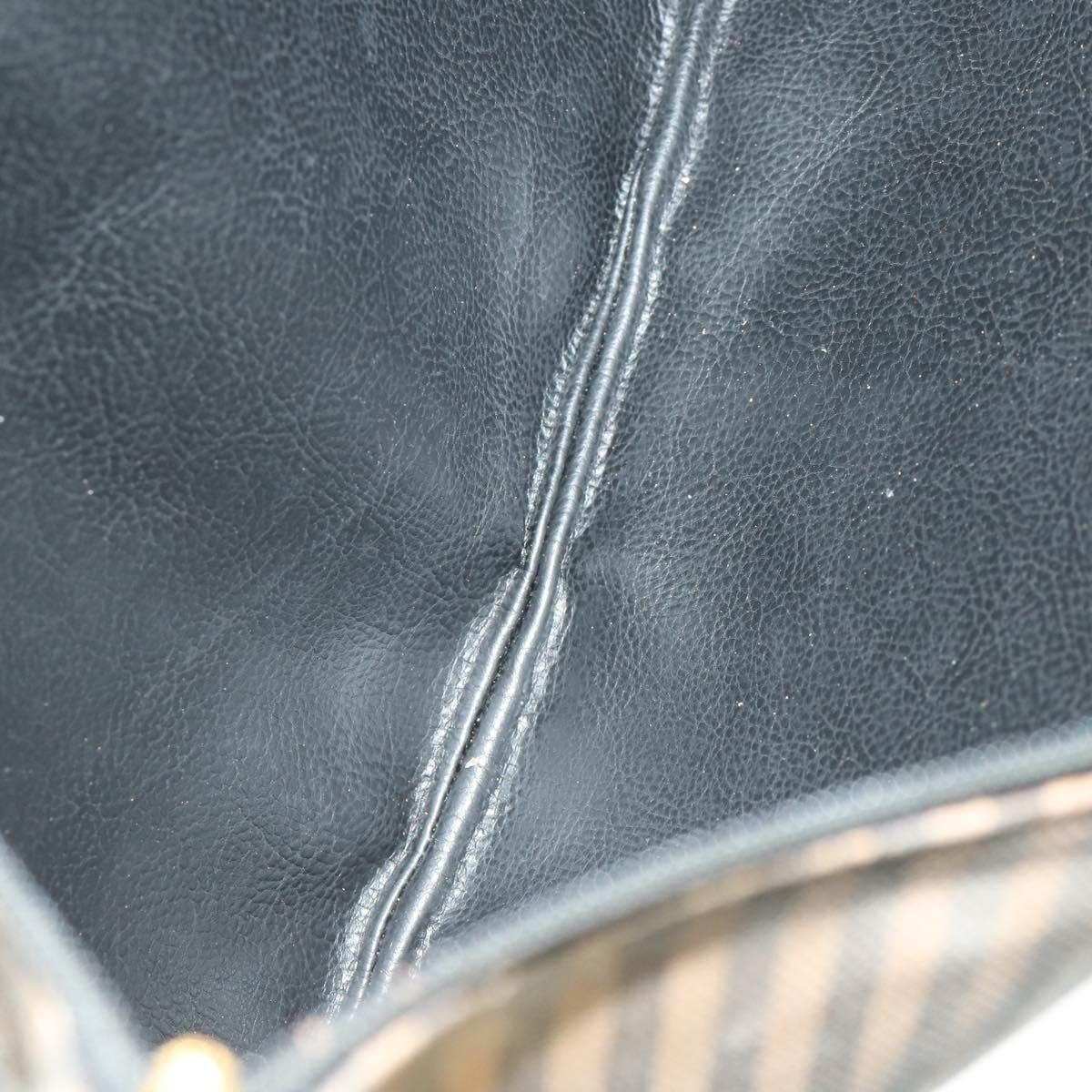 FENDI Pecan Canvas Bag Coated canvas nylon 4 Set Black Brown Auth 160746