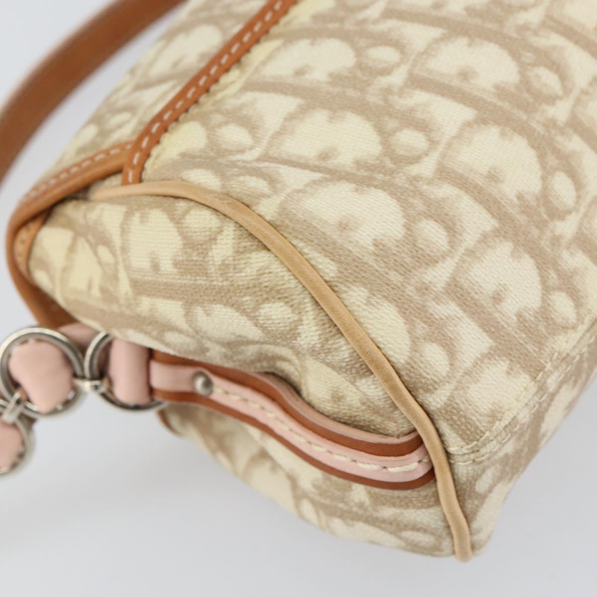 Christian Dior Trotter Canvas Romantic Bag PVC Beige Silver Auth 161033V