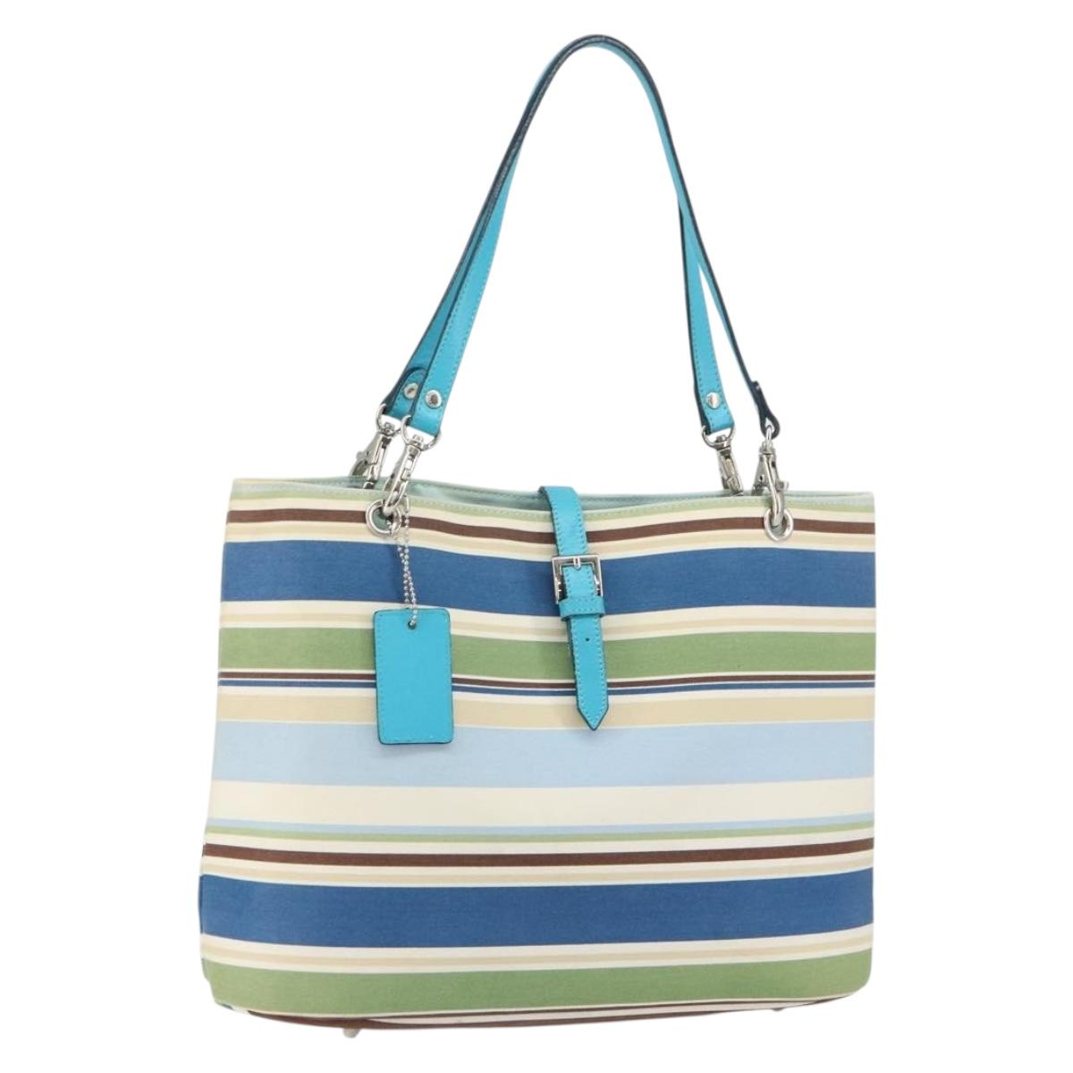 BURBERRY Tote Bag Canvas Blue Silver Auth 161168