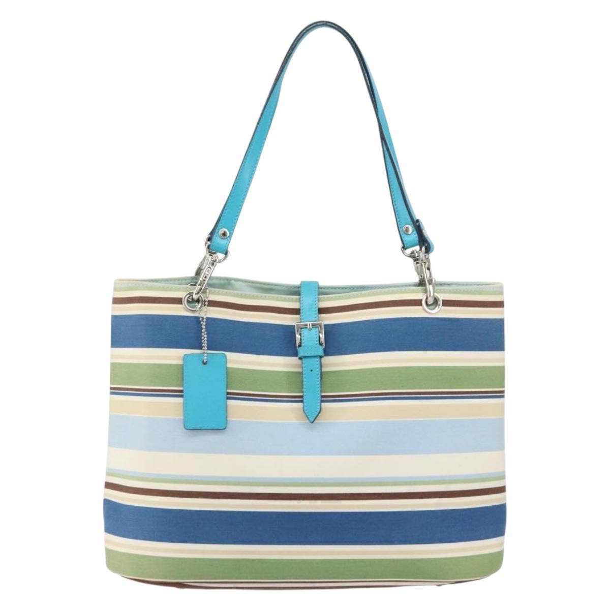 BURBERRY Tote Bag Canvas Blue Silver Auth 161168