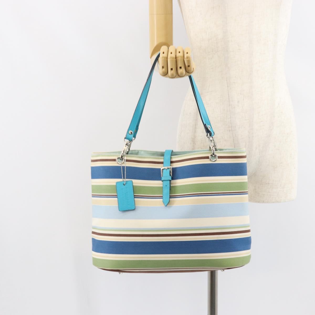 BURBERRY Tote Bag Canvas Blue Silver Auth 161168