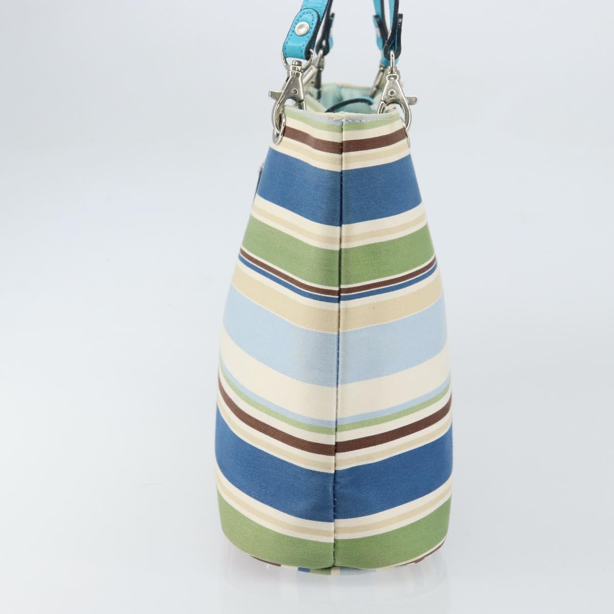 BURBERRY Tote Bag Canvas Blue Silver Auth 161168
