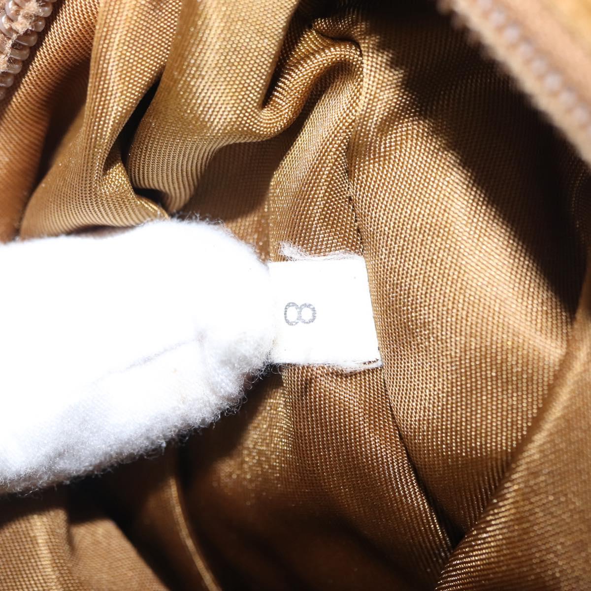 PRADA Hand Bag Nylon Brown Auth 161437