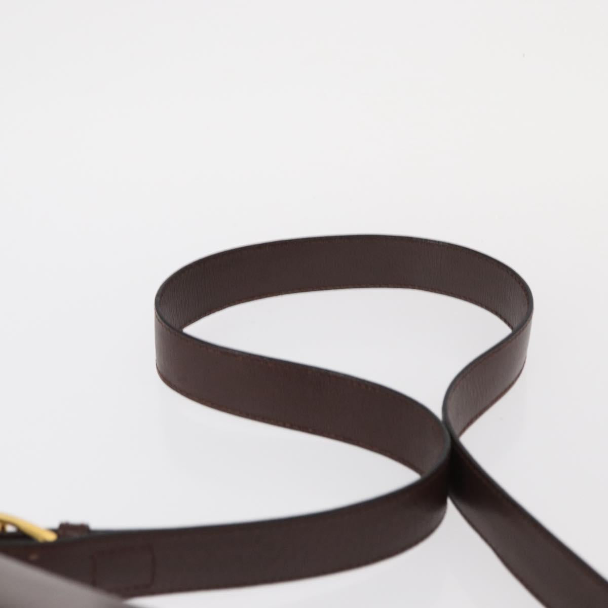 CELINE Circle Shoulder Bag Leather Brown Gold Auth 161484