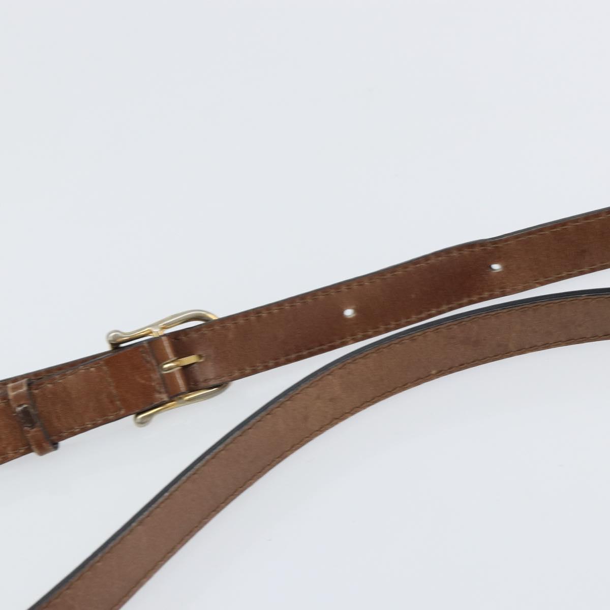 CELINE Shoulder Bag Leather Brown Gold Auth 162021