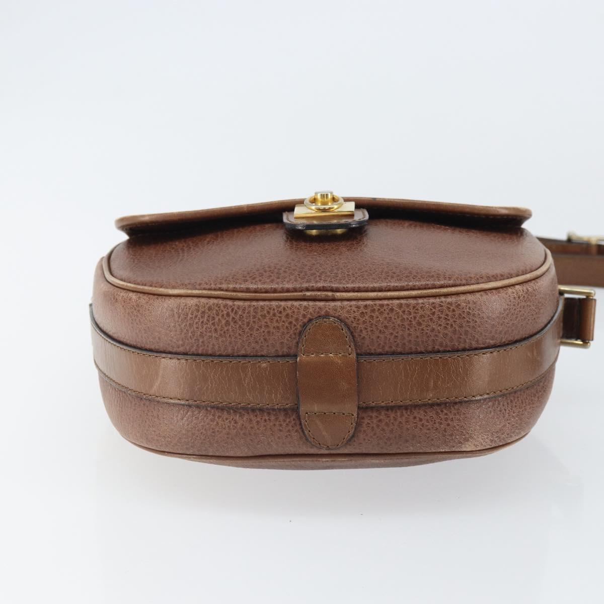 CELINE Shoulder Bag Leather Brown Gold Auth 162021