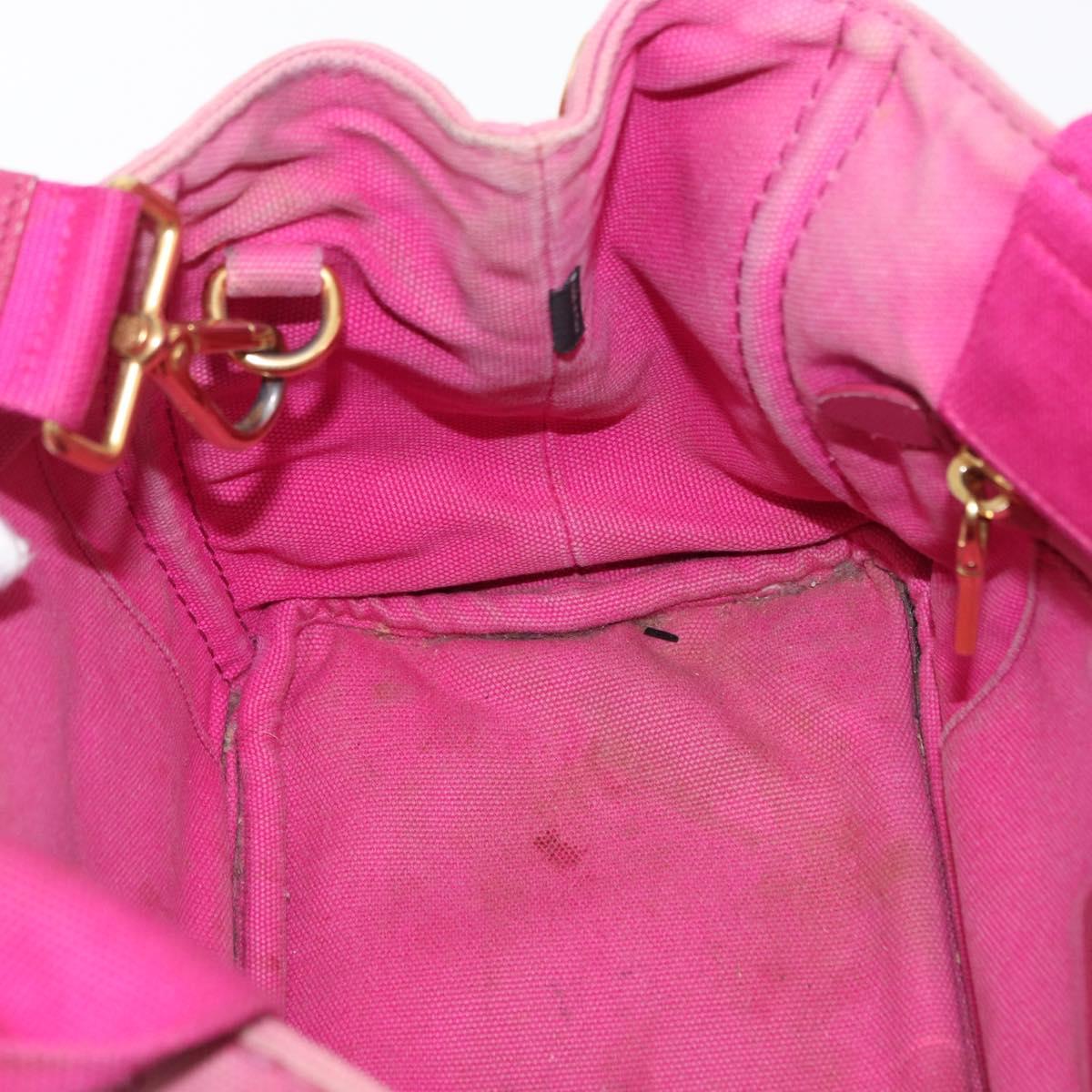 PRADA Canapa PM Hand Bag Canvas 2way Pink Gold Auth 162515