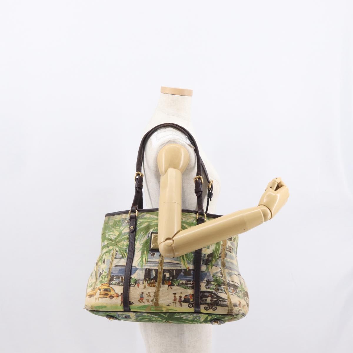 LOUIS VUITTON Eyeall Cabas PM Promenade Bag Canvas Purple M93771 LV Auth 162827