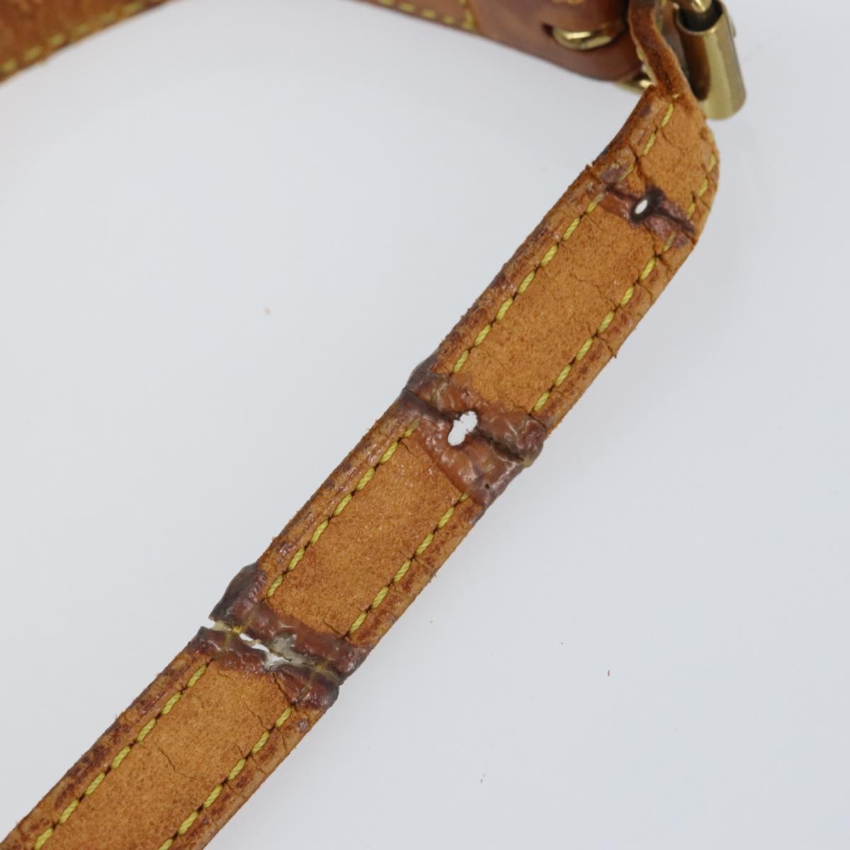 LOUIS VUITTON Monogram Blois Shoulder Bag M51221 LV Auth 163155