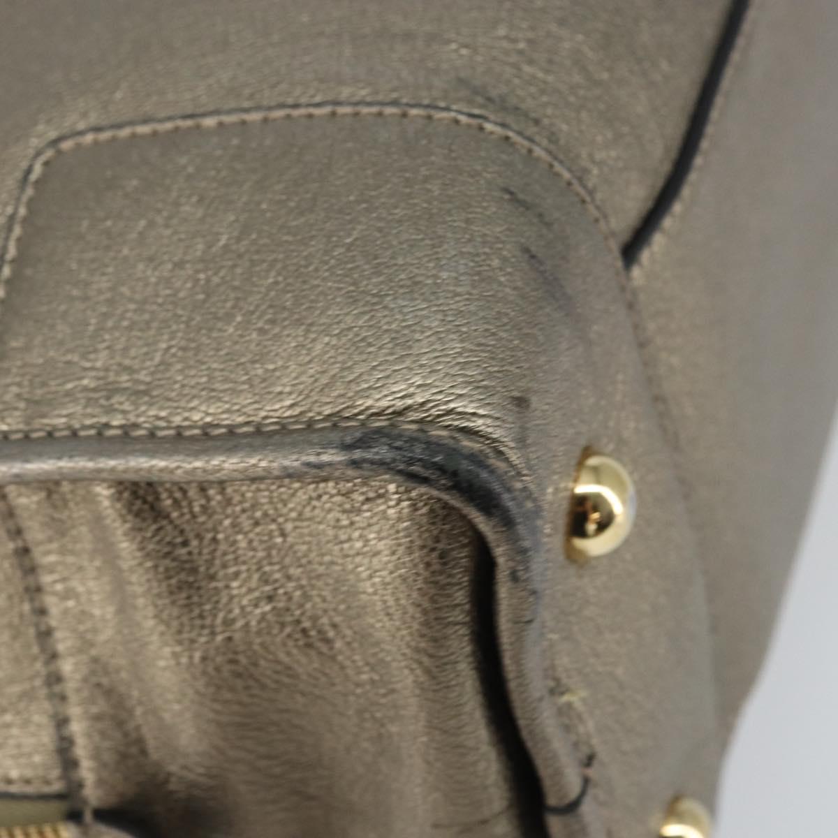 LOEWE Anagram Amazona 36 Hand Bag Leather Gold Auth 163663