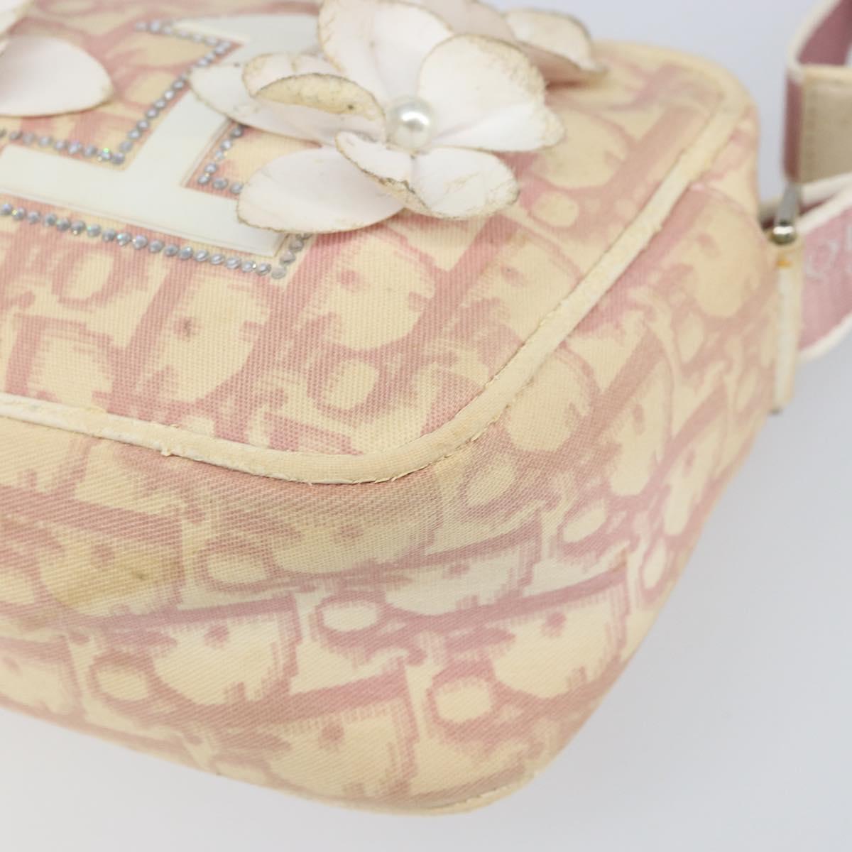 Christian Dior Trotter Canvas Shoulder Bag PVC Pink Silver Auth 165233