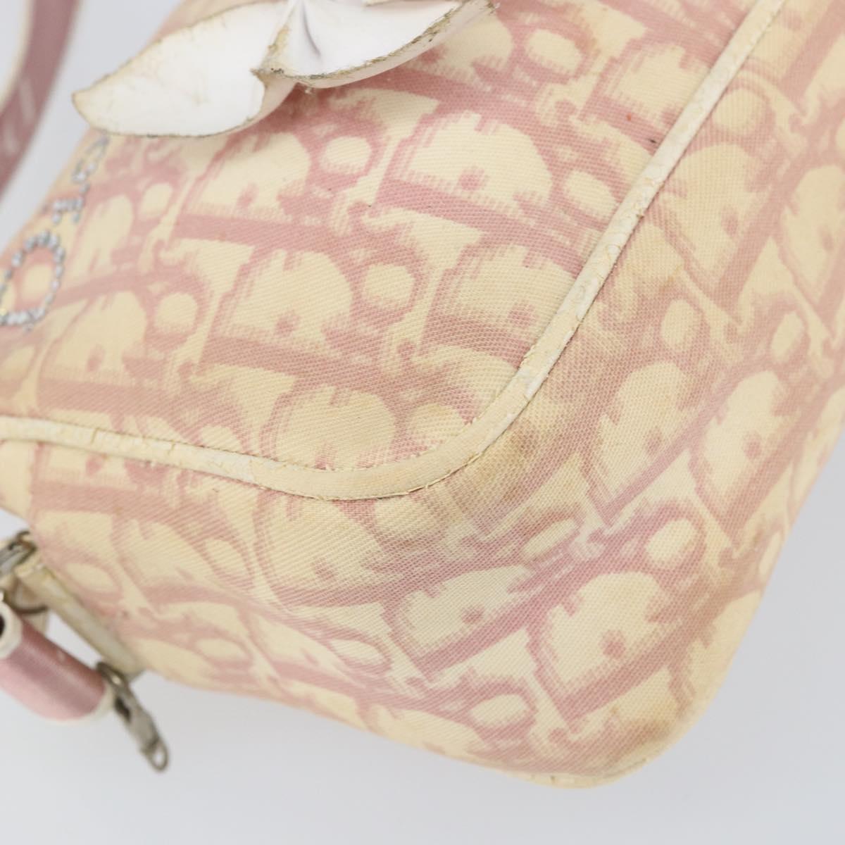 Christian Dior Trotter Canvas Shoulder Bag PVC Pink Silver Auth 165233