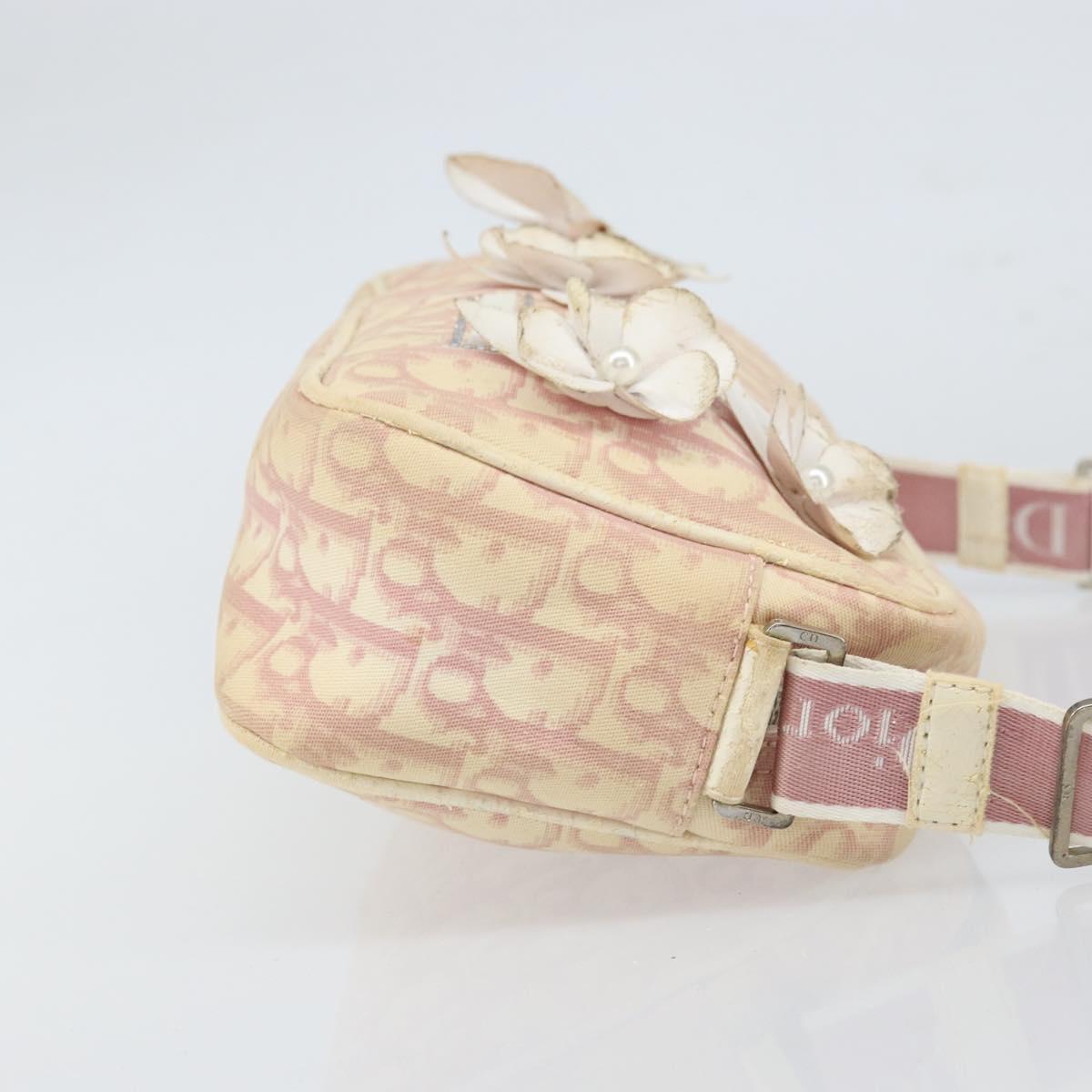 Christian Dior Trotter Canvas Shoulder Bag PVC Pink Silver Auth 165233