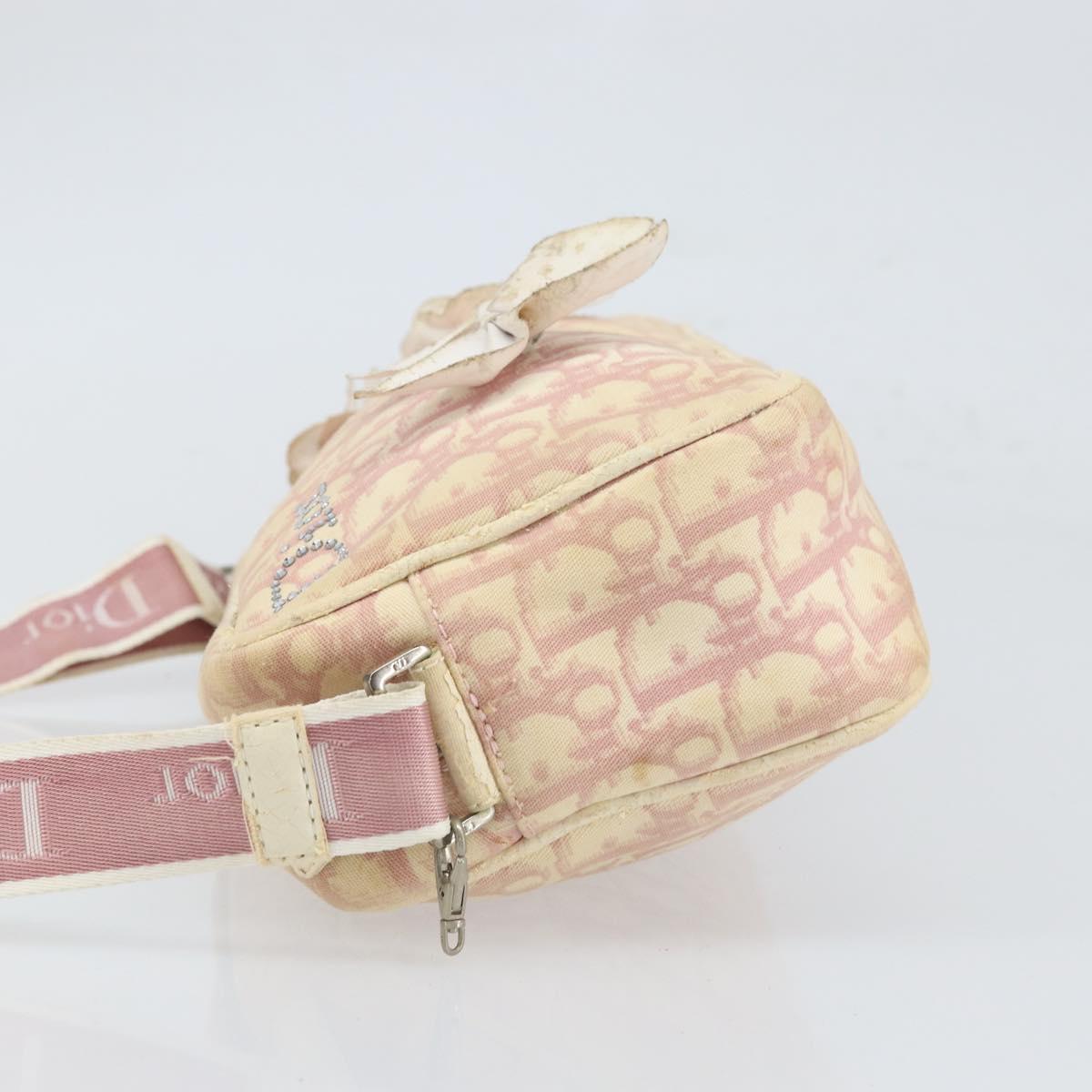 Christian Dior Trotter Canvas Shoulder Bag PVC Pink Silver Auth 165233