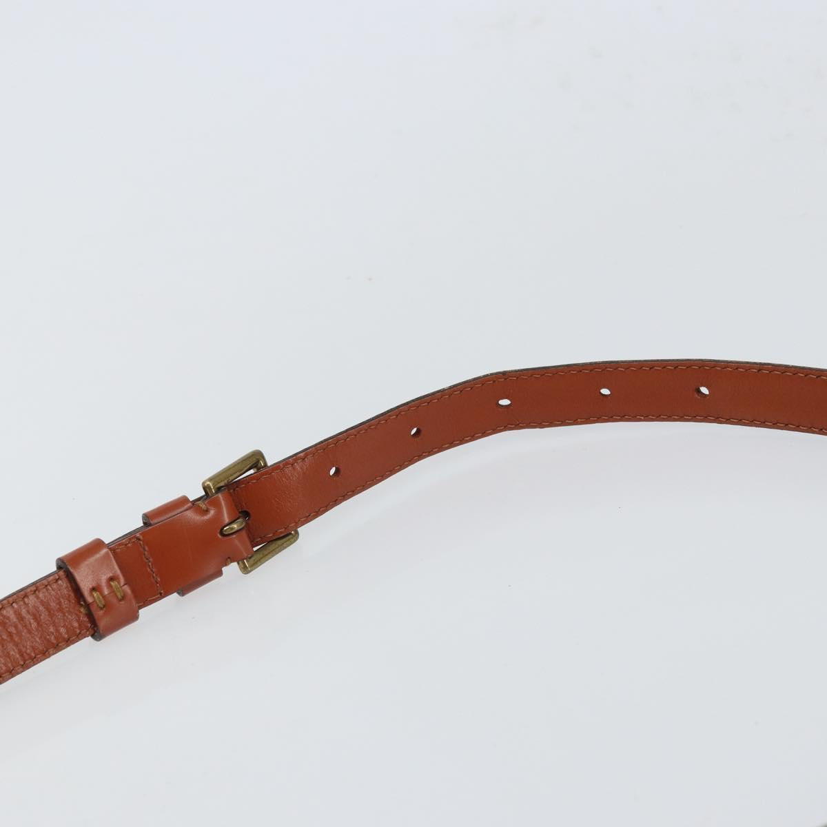LOUIS VUITTON Epi Saint Cloud GM Shoulder Bag Brown M52193 LV Auth 165452