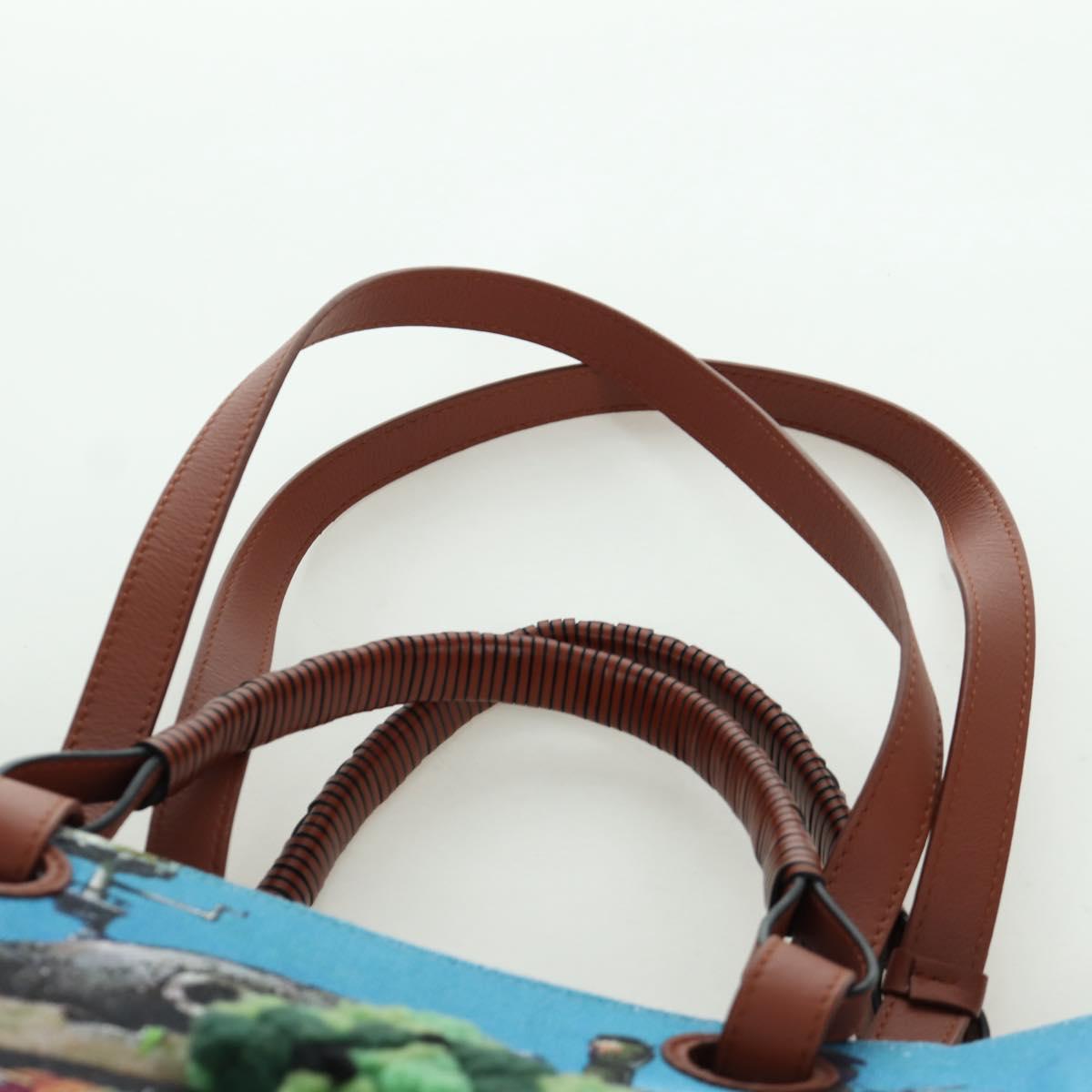 LOEWE ﾃ Studio Ghibli Howl's Moving Castle Anagram Bag Canvas Auth 166901SM