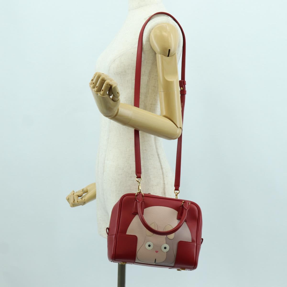 LOEWE ﾃ Studio Ghibli Spirited Away Amazona 21 Bag Leather Red Auth 166973SM