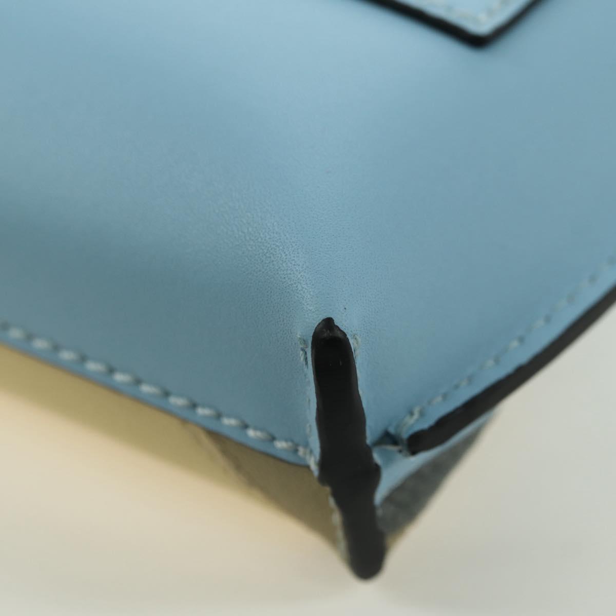 LOEWE × Ghibli My Neighbor Totoro Gate Pocket Leather Light Blue Auth 167242SM