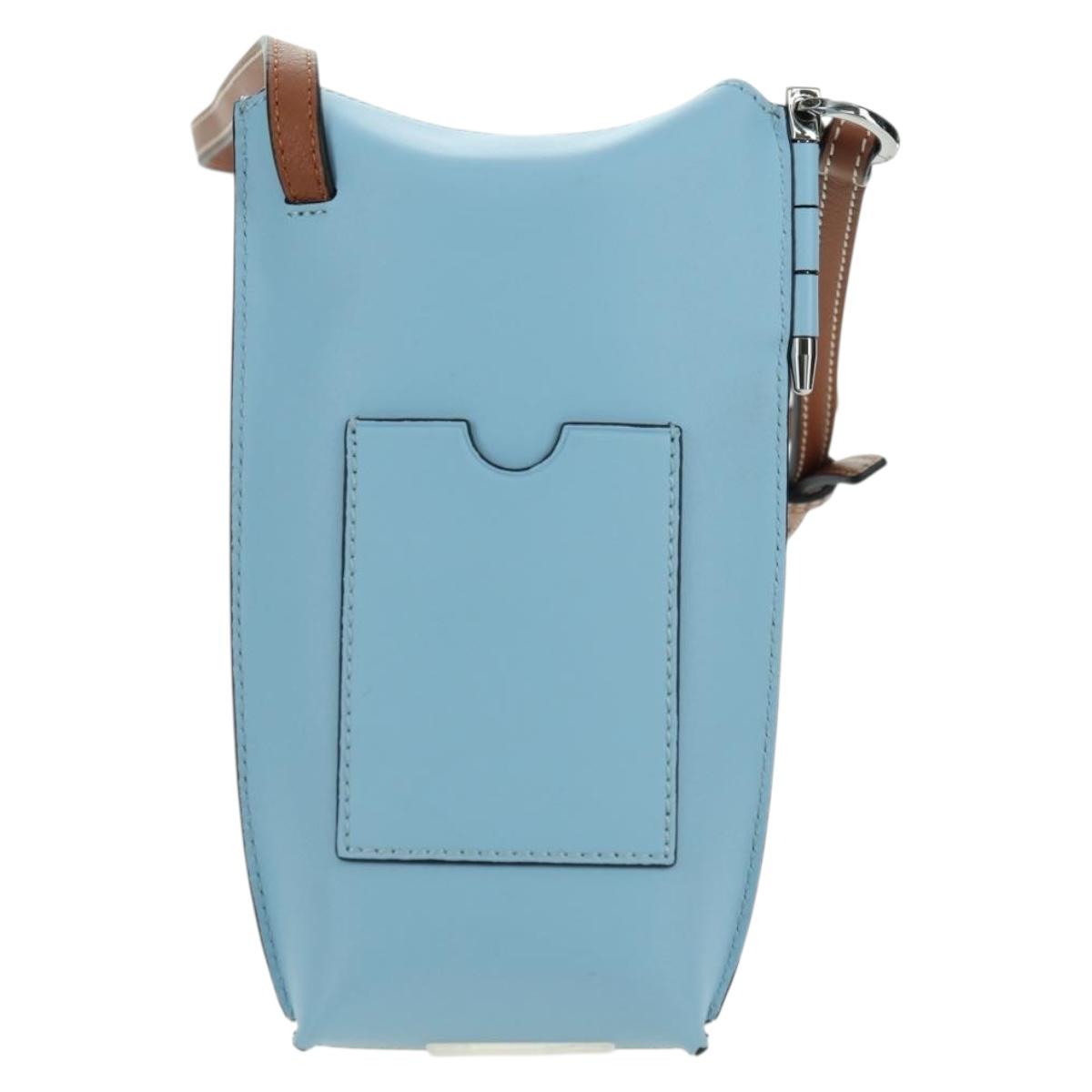 LOEWE × Ghibli My Neighbor Totoro Gate Pocket Leather Light Blue Auth 167242SM