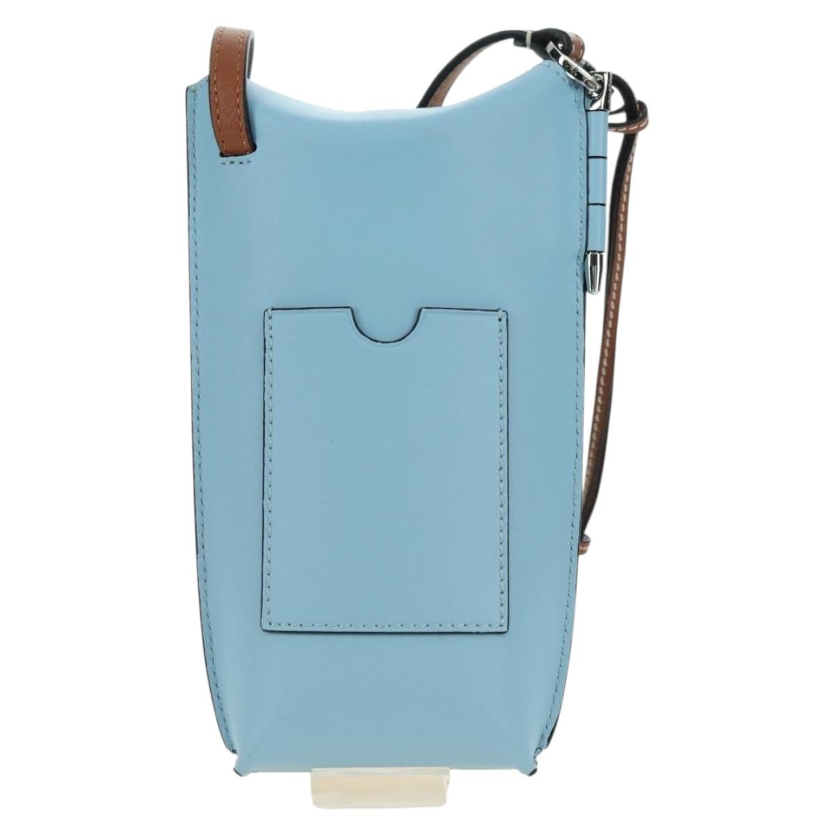 LOEWE × Ghibli My Neighbor Totoro Gate Pocket Leather Light Blue Auth 167291SM
